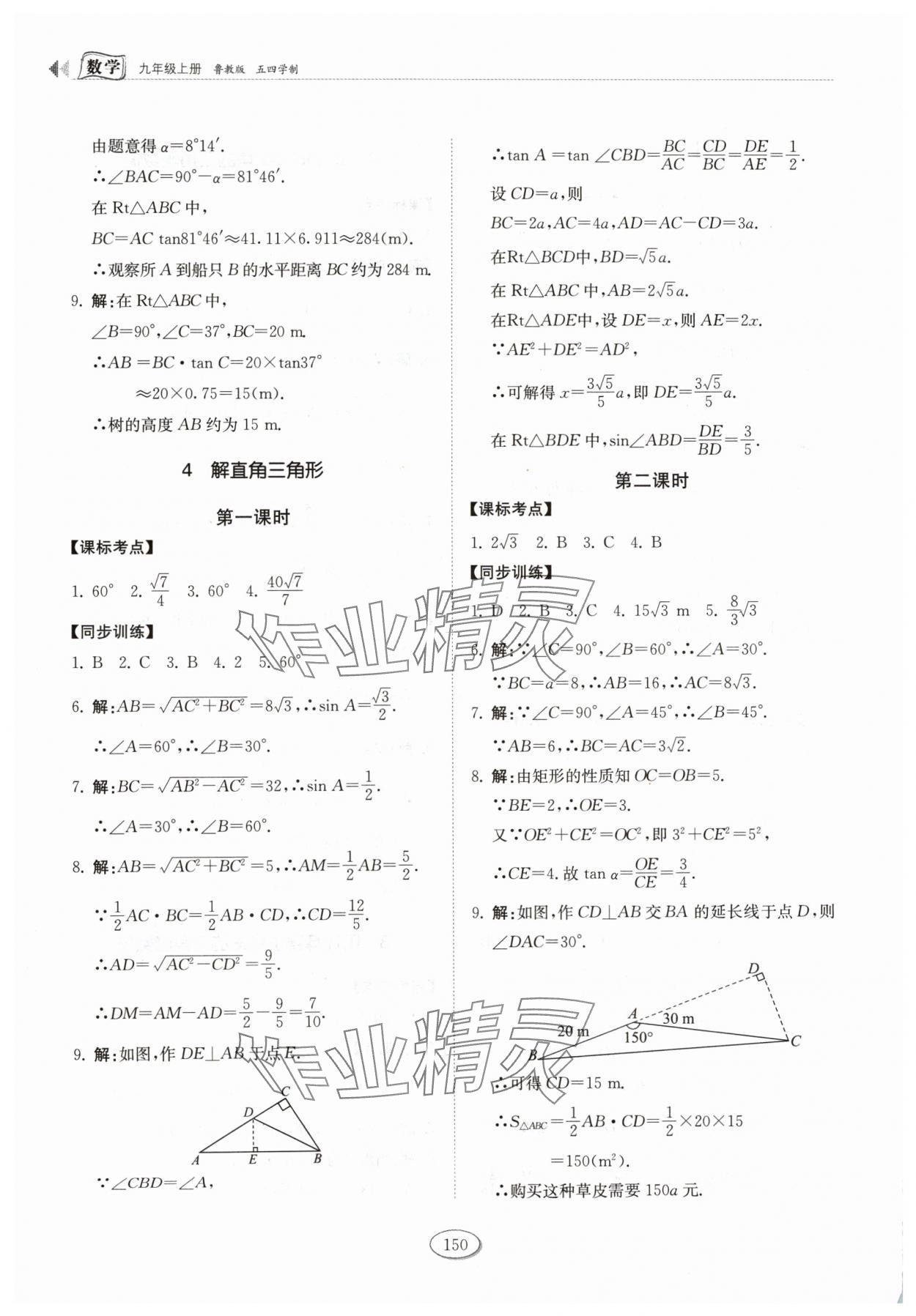 2024年初中同步練習(xí)冊(cè)九年級(jí)數(shù)學(xué)上冊(cè)魯教版54制山東科學(xué)技術(shù)出版社 第8頁