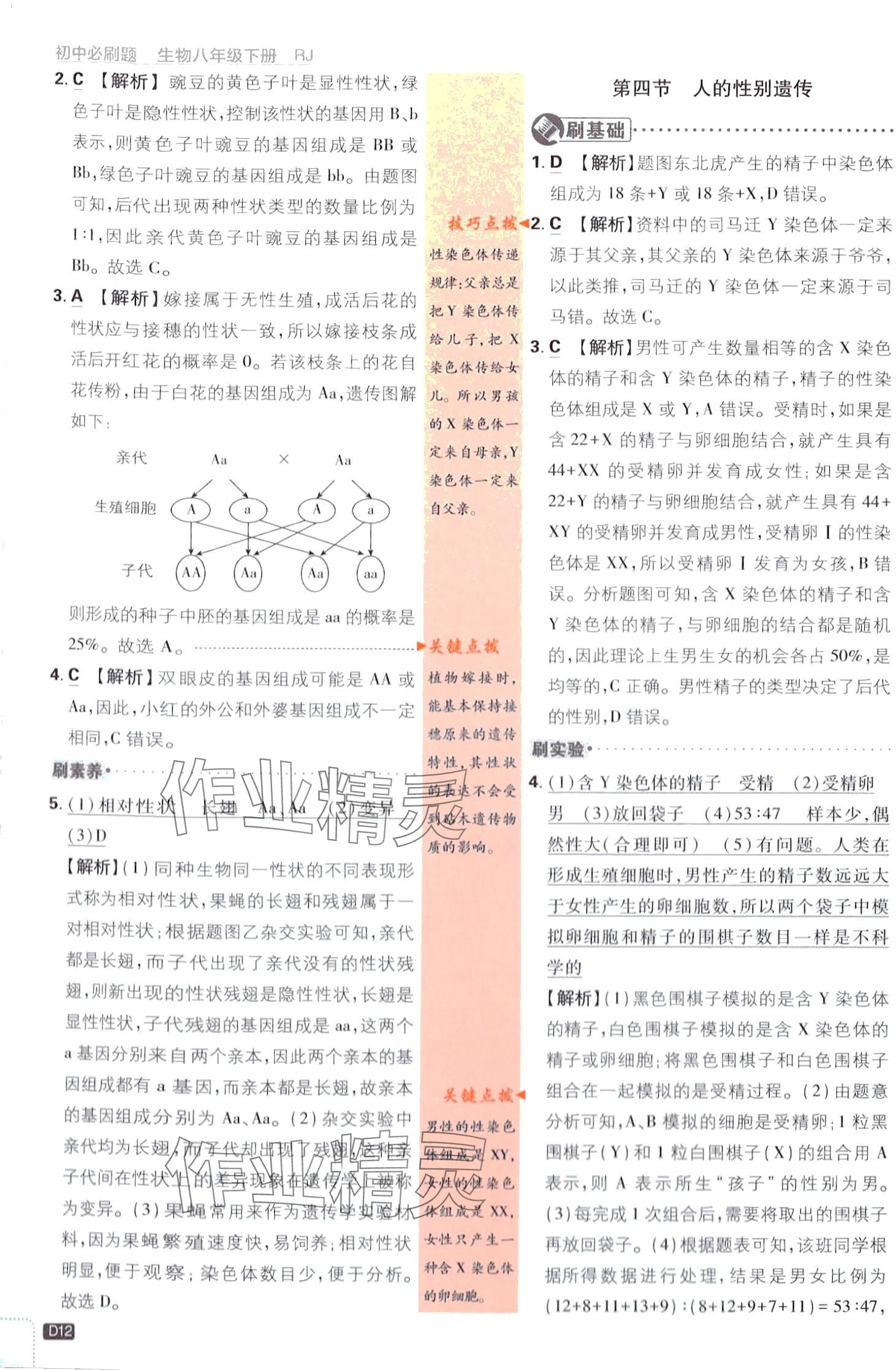 2024年初中必刷题八年级生物下册人教版 第12页