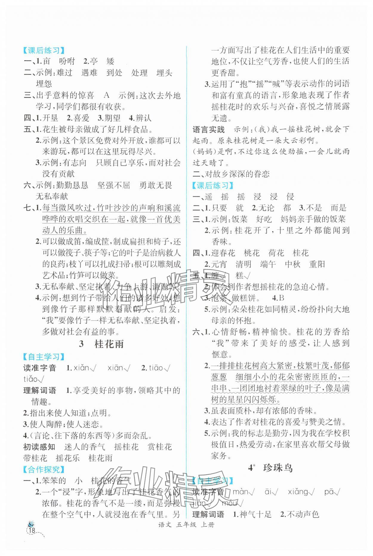2025年人教金学典同步解析与测评五年级语文上册人教版云南专版 第2页