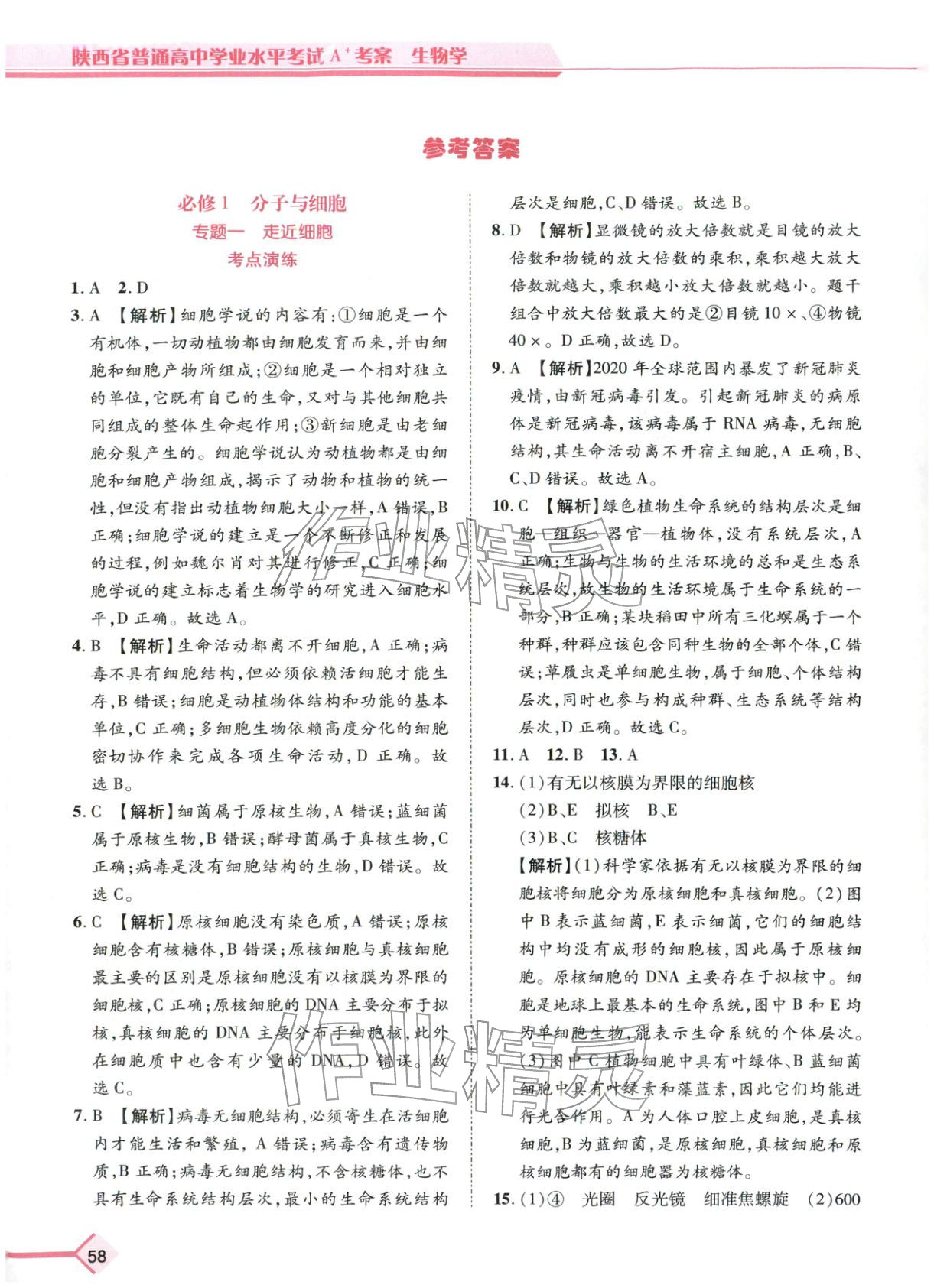 2026年普通高中学业水平考试A+考案生物陕西专版&nbsp;第1页