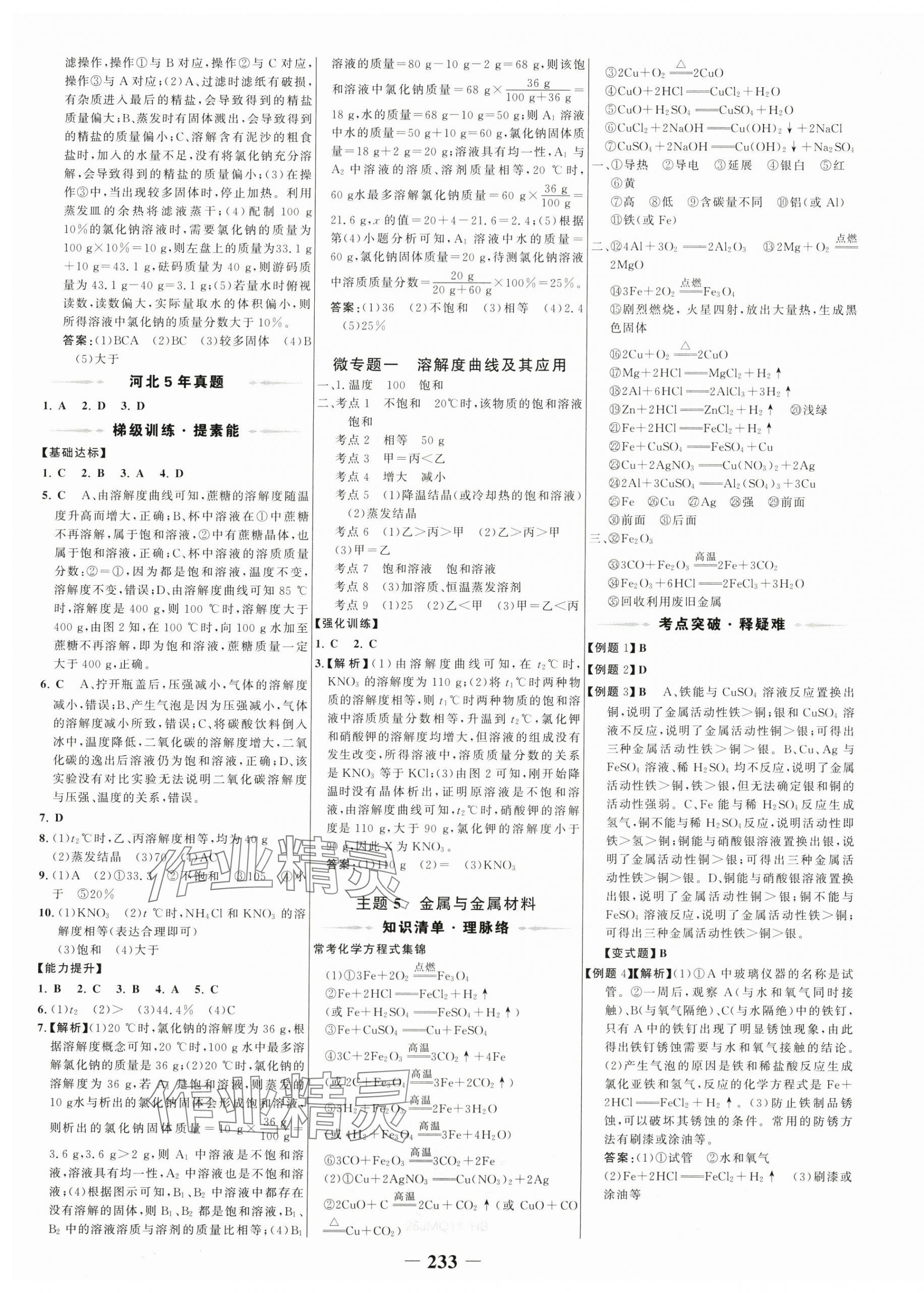 2025年世纪金榜金榜中考化学河北专用 第5页