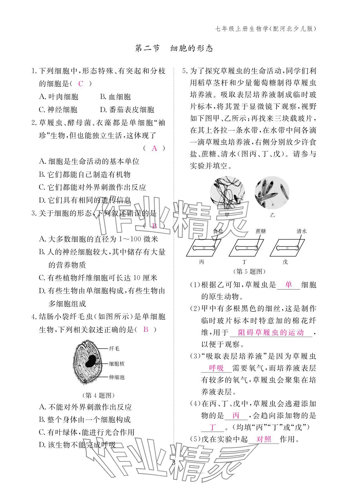 2025年作业本江西教育出版社七年级生物上册冀少版 参考答案第3页