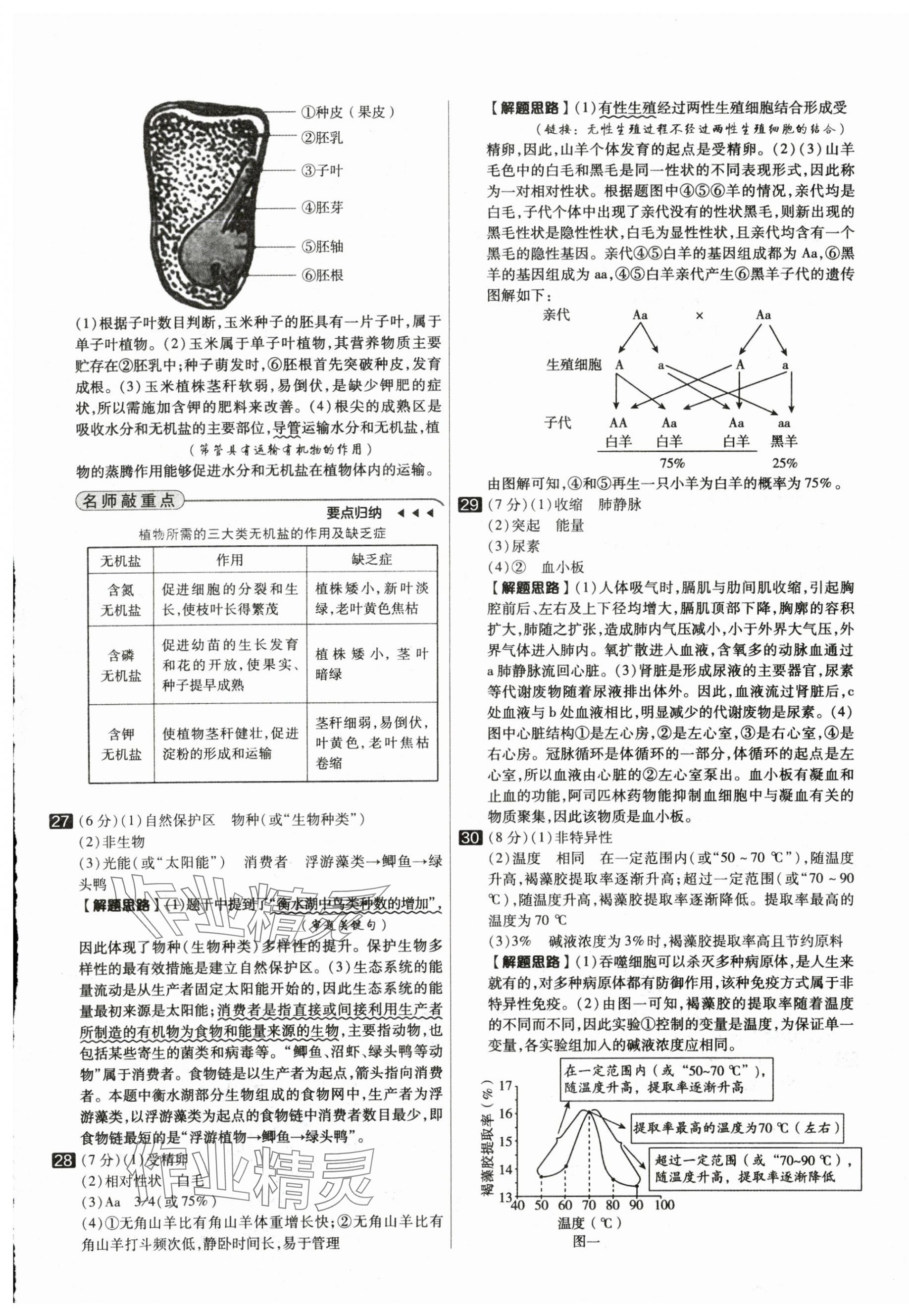 2025年中考试题精选延边出版社生物河北专版&nbsp;参考答案第13页