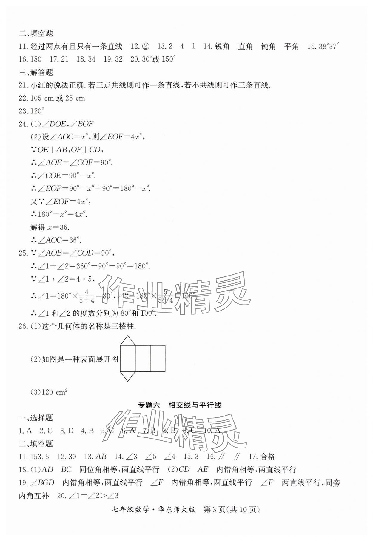 2024年寒假作业延边教育出版社七年级合订本华师大B版河南专版 参考答案第3页