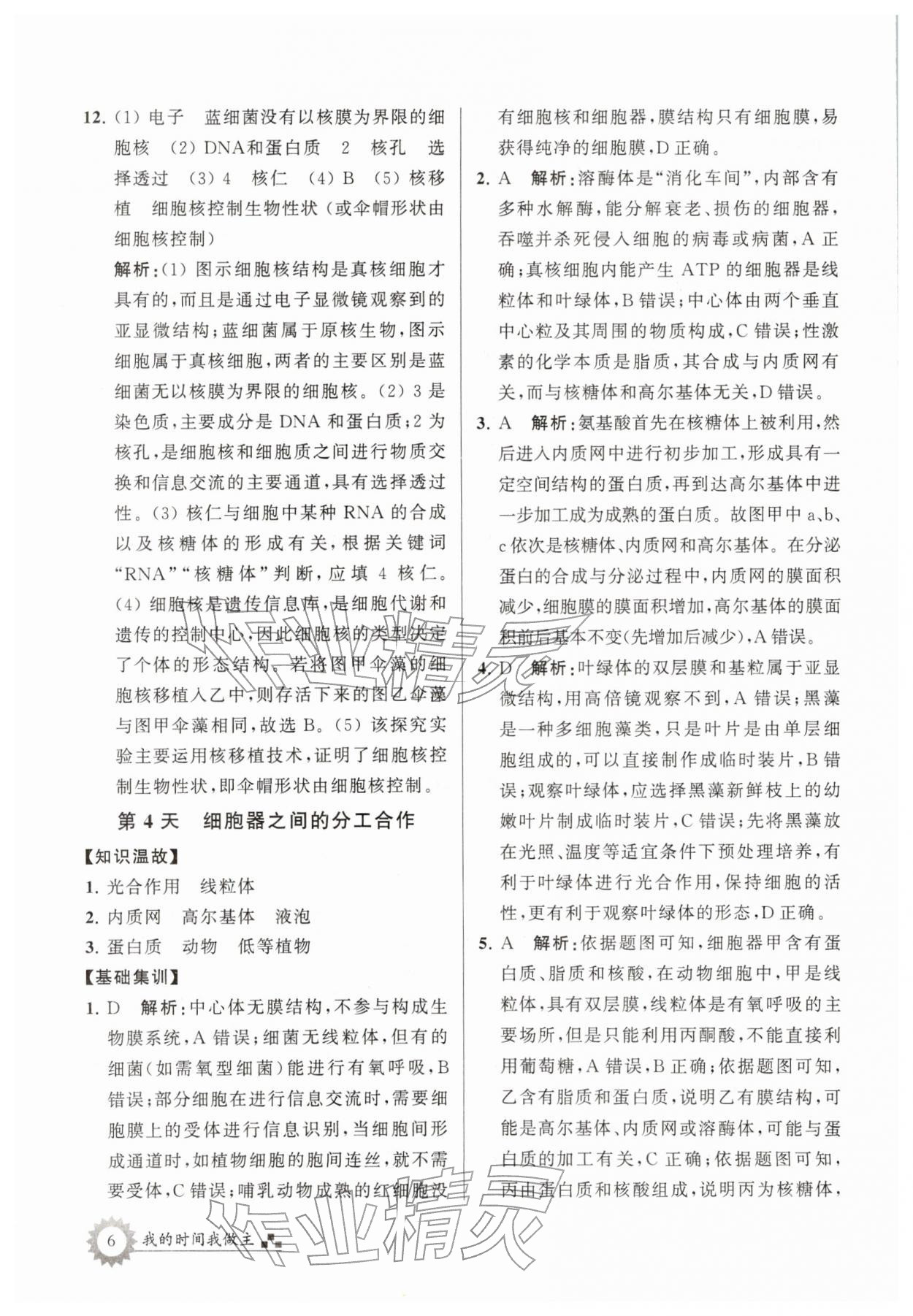 2026年最高考寒假作业高一生物&nbsp;第6页