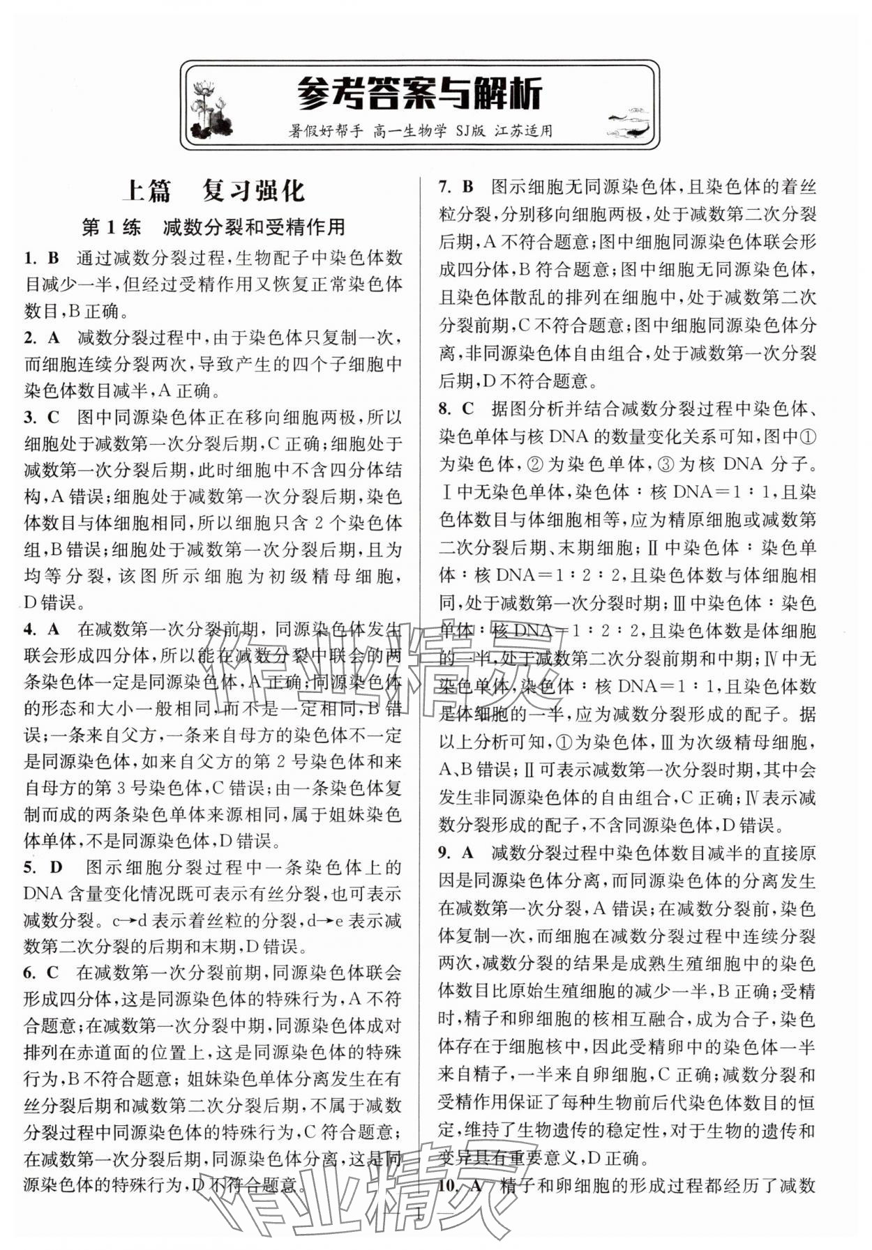 2025年暑假好幫手高一生物蘇教版 第1頁