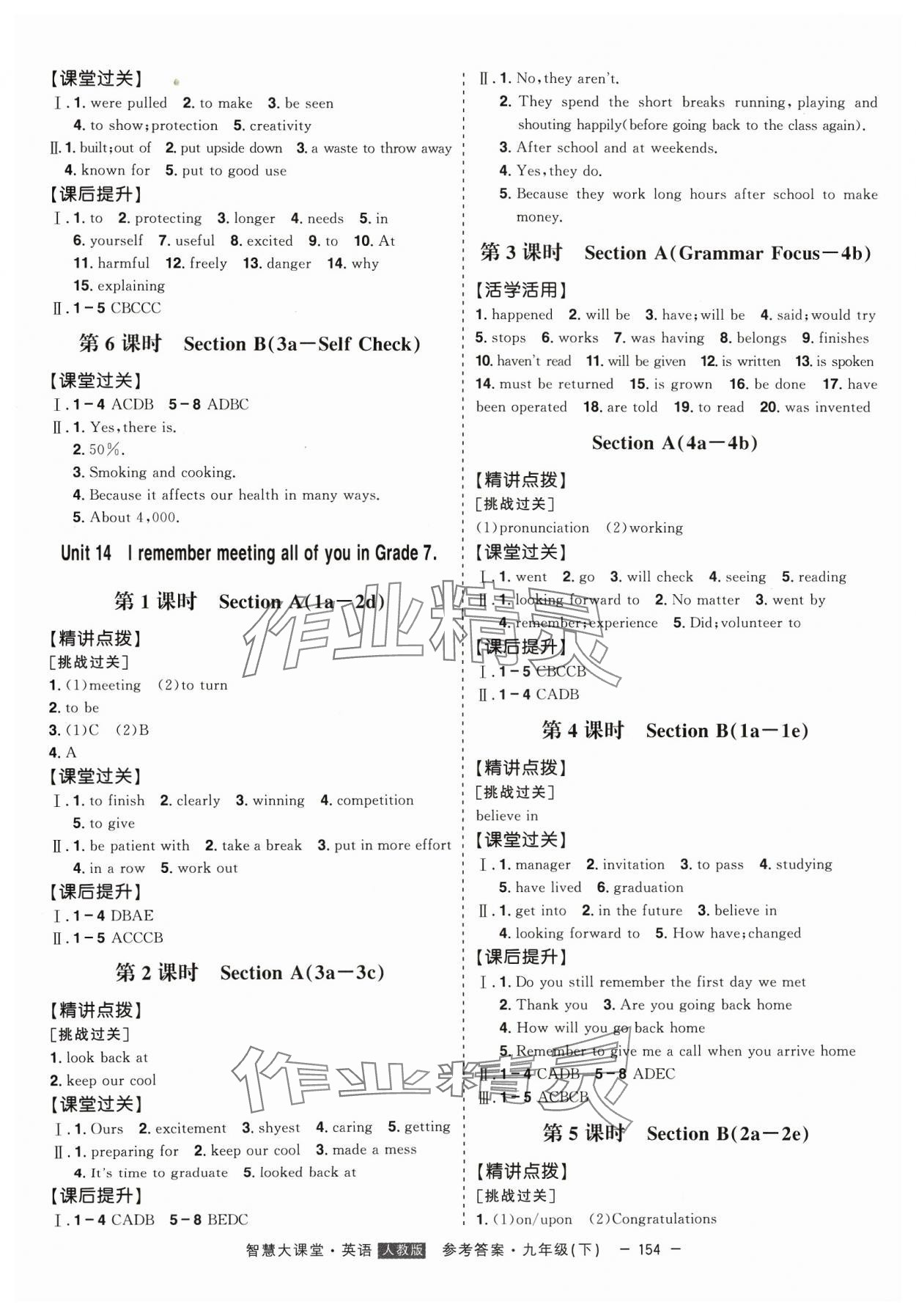 2024年初中新课标名师学案智慧大课堂九年级英语下册人教版 第6页