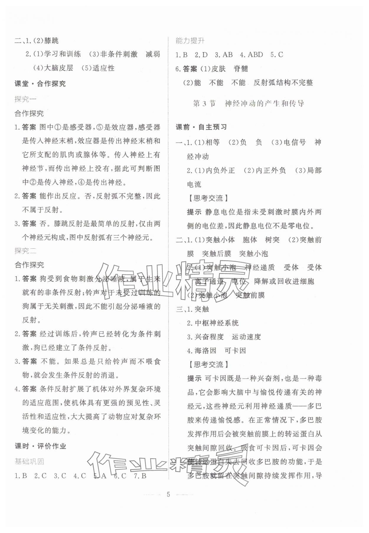 2024年同步學考練高中生物選擇性必修1人教版 第5頁