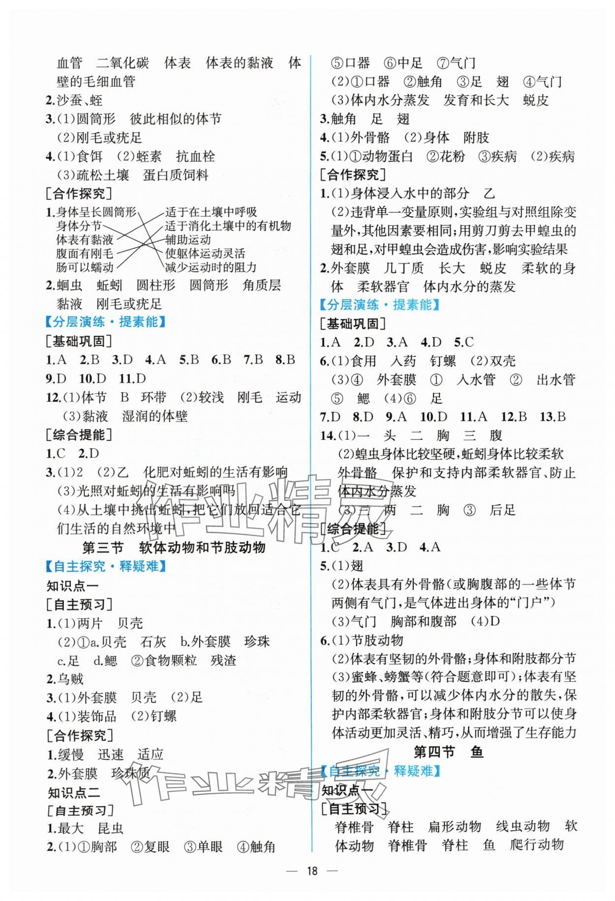 2024年同步导学案课时练八年级生物上册人教版 第2页