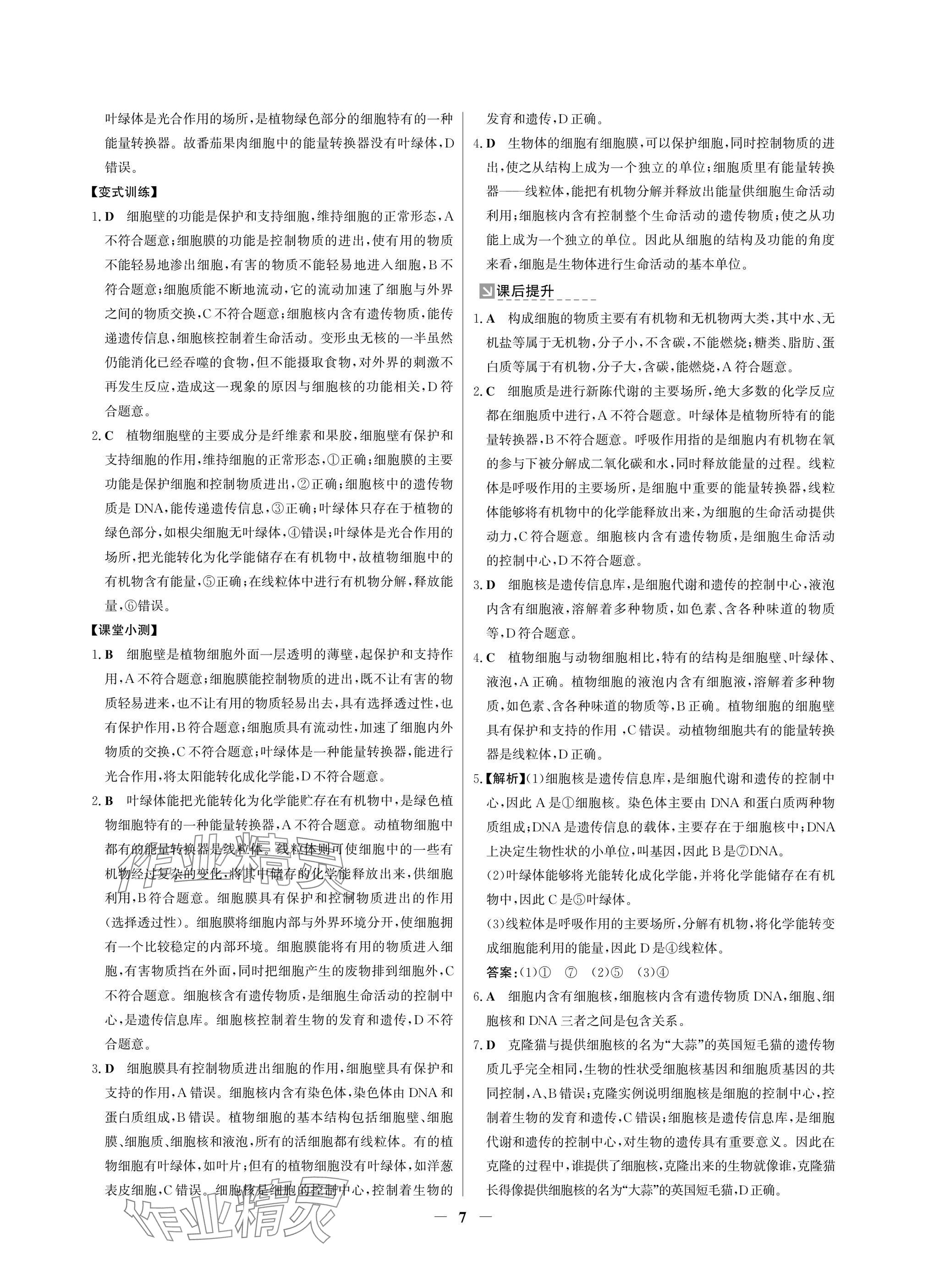 2024年南方新課堂金牌學(xué)案七年級生物上冊人教版深圳專版 參考答案第7頁