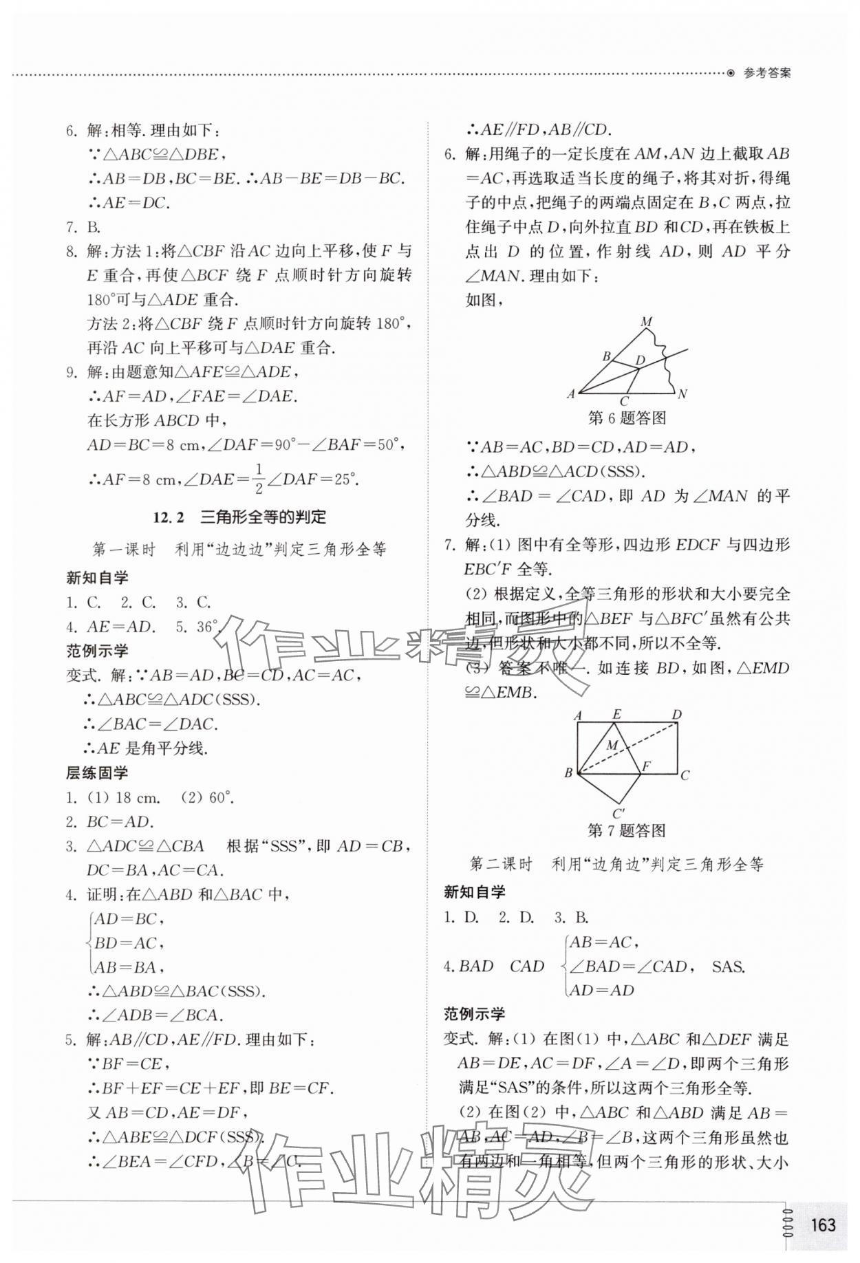 2024年同步練習(xí)冊(cè)山東教育出版社八年級(jí)數(shù)學(xué)上冊(cè)人教版 第5頁(yè)