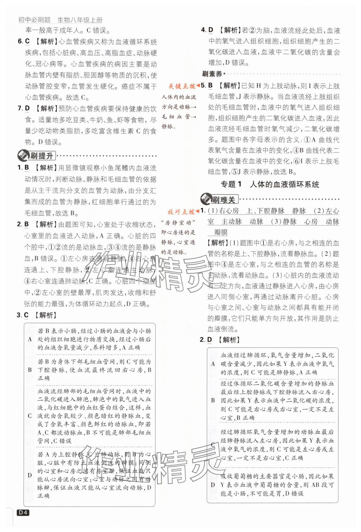 2023年初中必刷题八年级生物上册苏教版 参考答案第4页