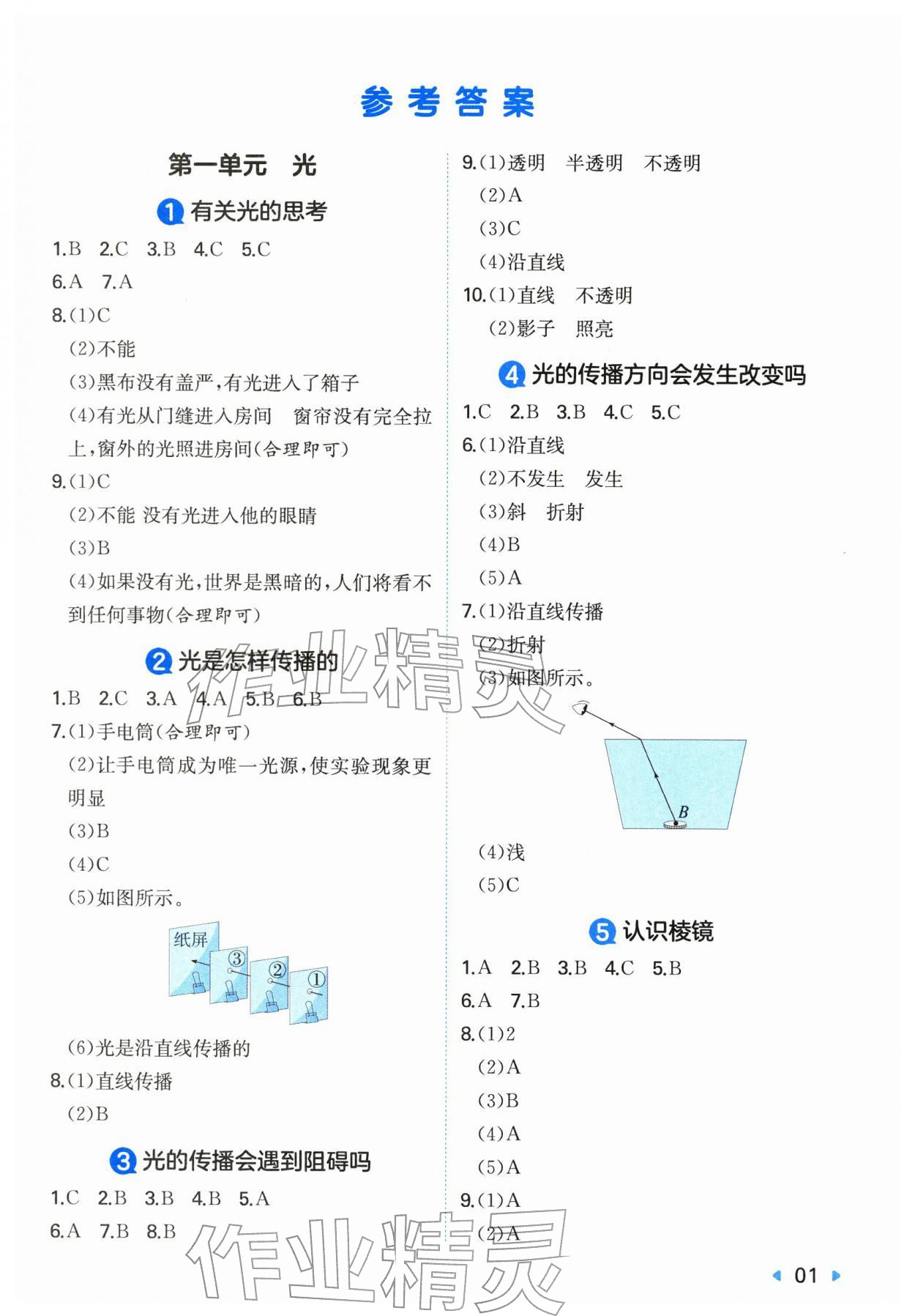 2025年一本同步训练五年级科学上册教科版 第1页