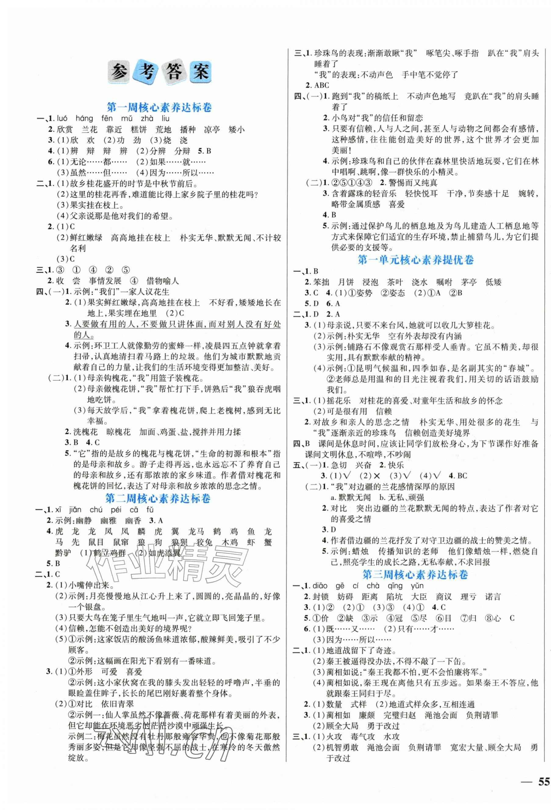 2026年状元提优必刷卷五年级语文上册人教版&nbsp;第1页