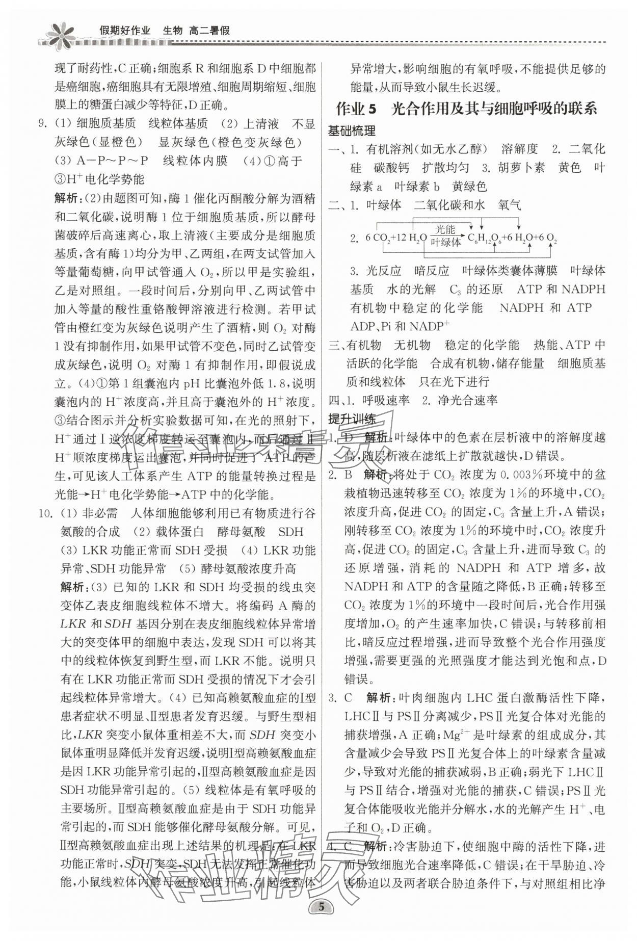 2025年假期好作業(yè)暨期末復(fù)習(xí)暑假高二生物 參考答案第5頁