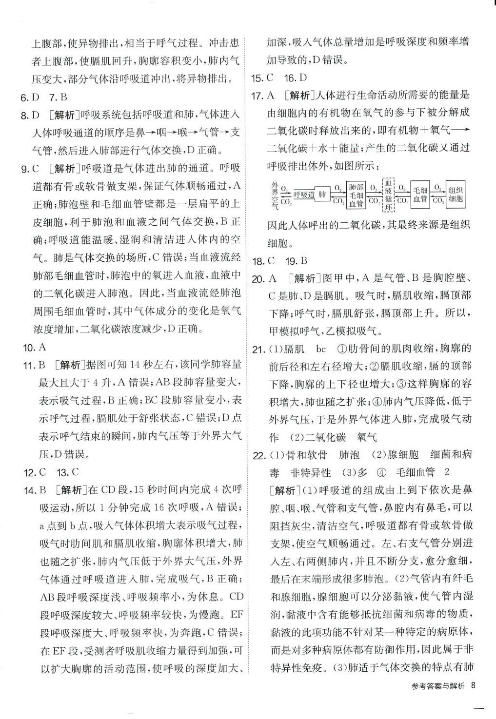 2024年單元雙測全程提優(yōu)測評卷七年級生物下冊人教版 第8頁