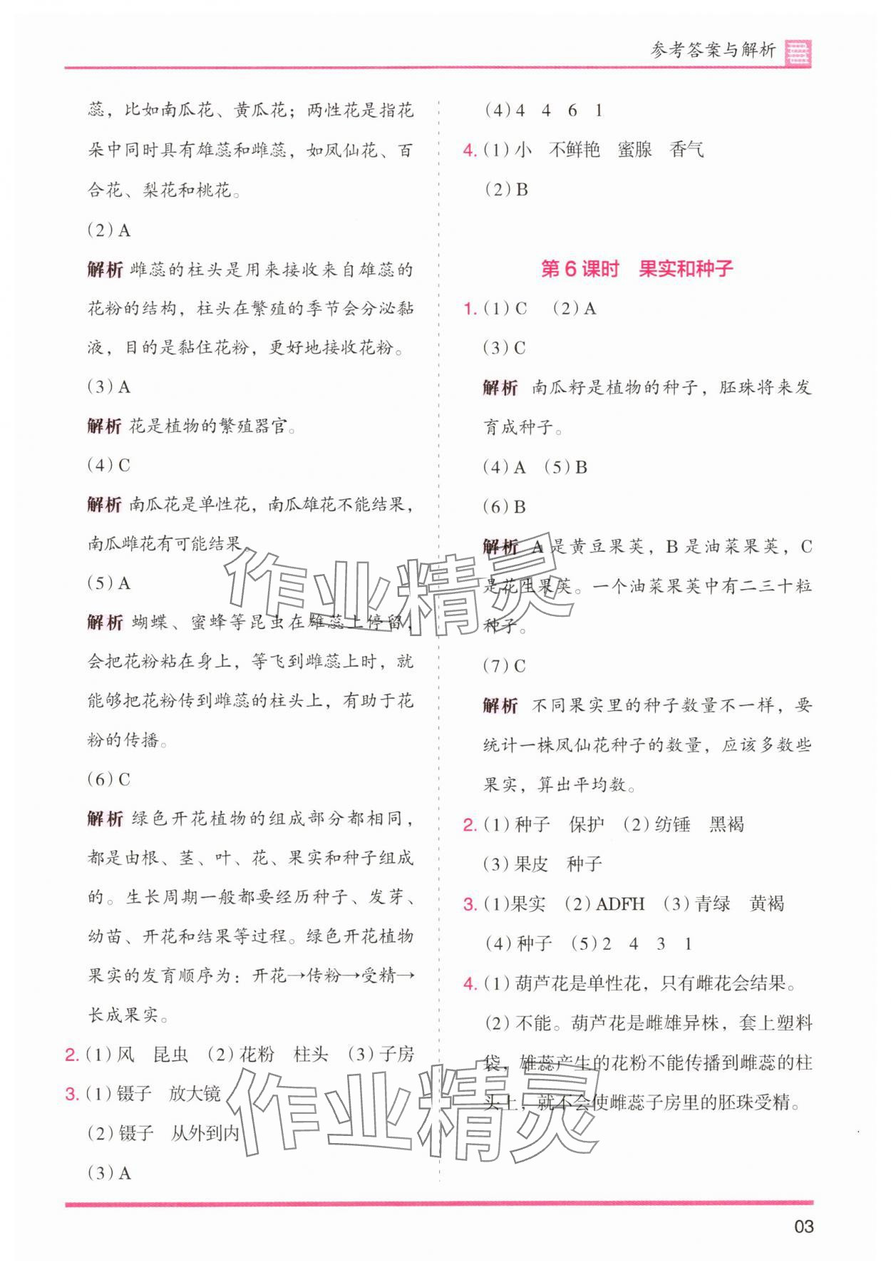 2025年木頭馬分層課課練四年級科學(xué)下冊教科版 第3頁