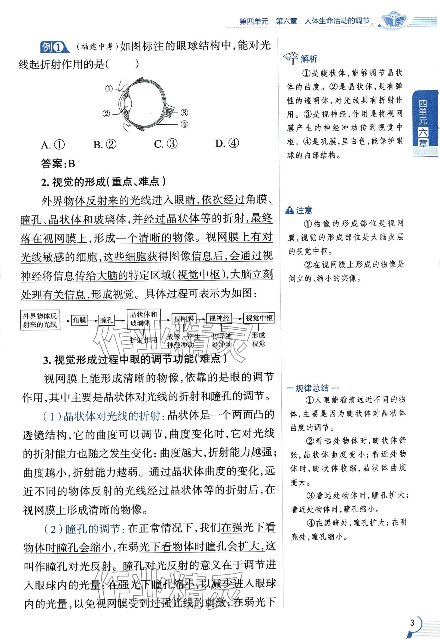 2024年教材课本七年级生物下册鲁科版&nbsp;第3页