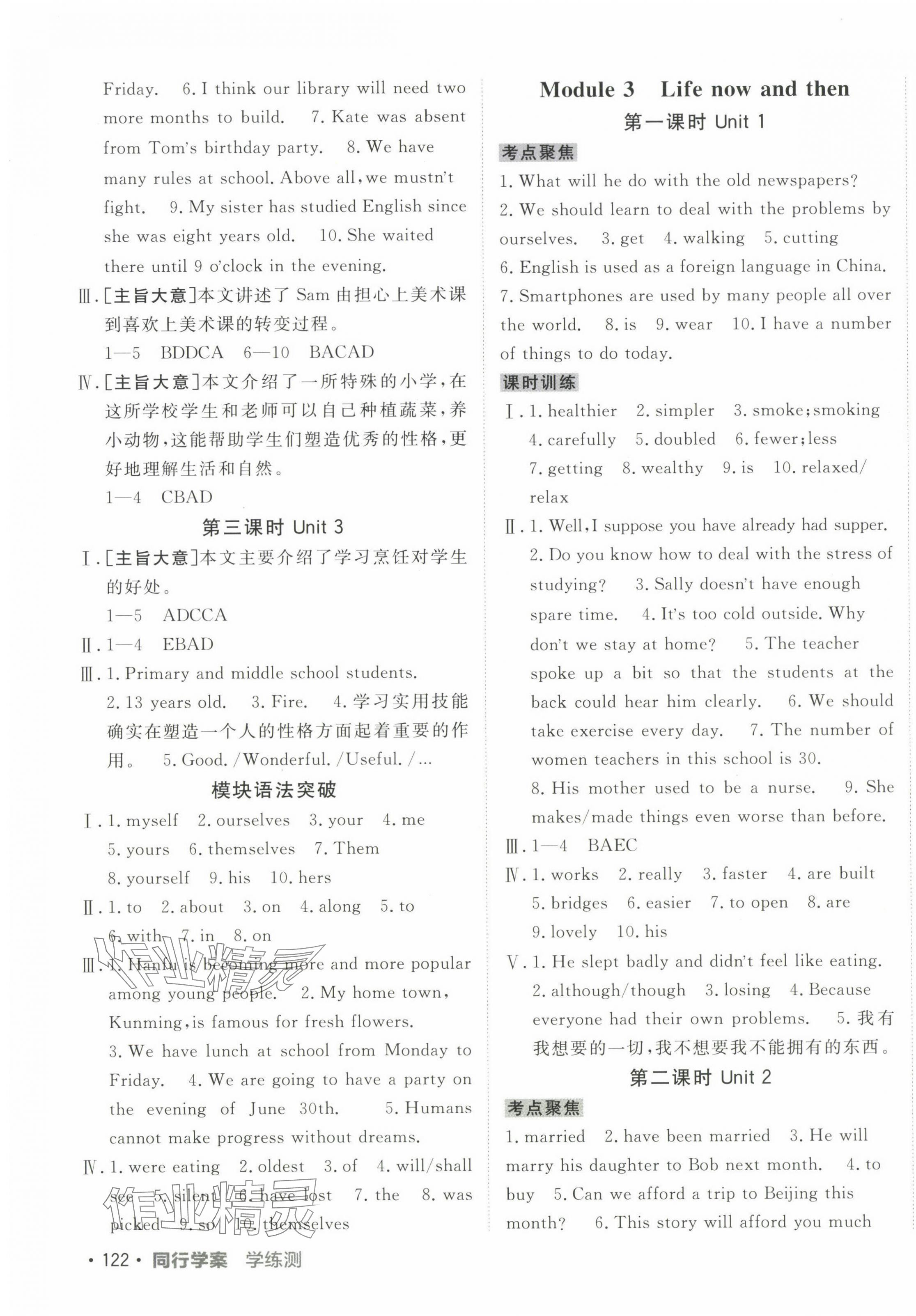 2025年同行学案学练测九年级英语下册外研版 第3页