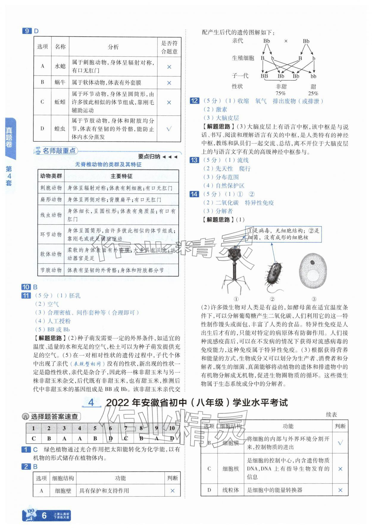 2026年金考卷45套汇编生物安徽专版&nbsp;参考答案第5页