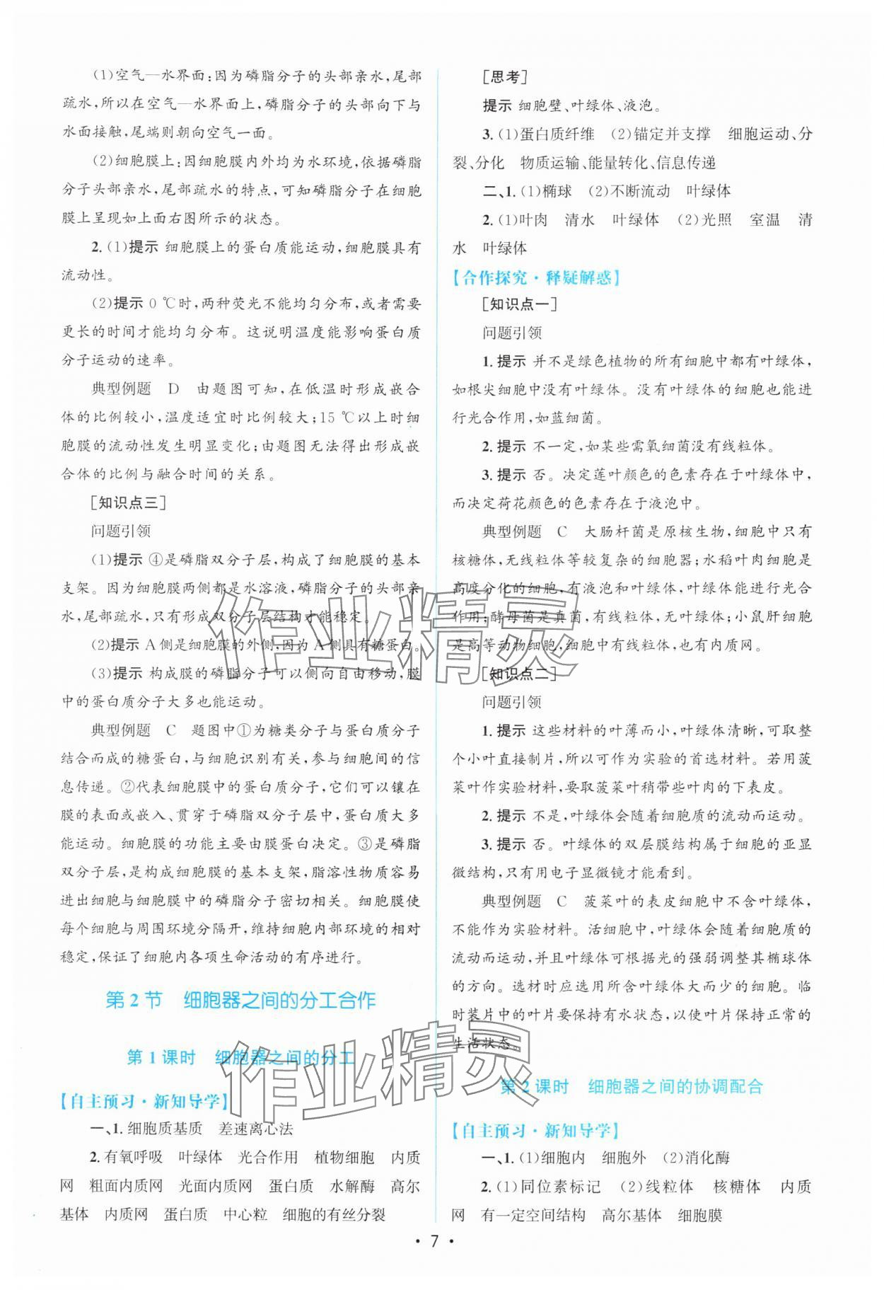 2025年高中同步测控优化设计高中生物必修1人教版 参考答案第6页