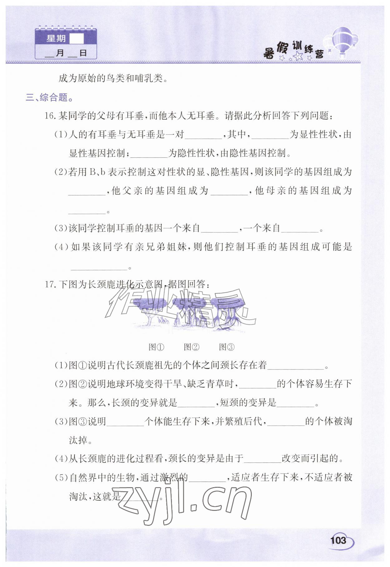 2026年假期园地暑假训练营八年级数学物理生物合订本&nbsp;第1页