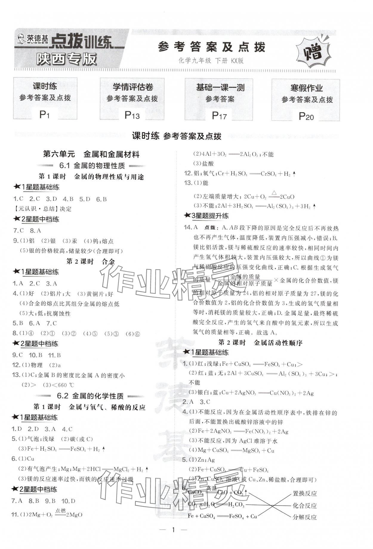 2025年點撥訓練九年級化學下冊開心版陜西專版 第1頁