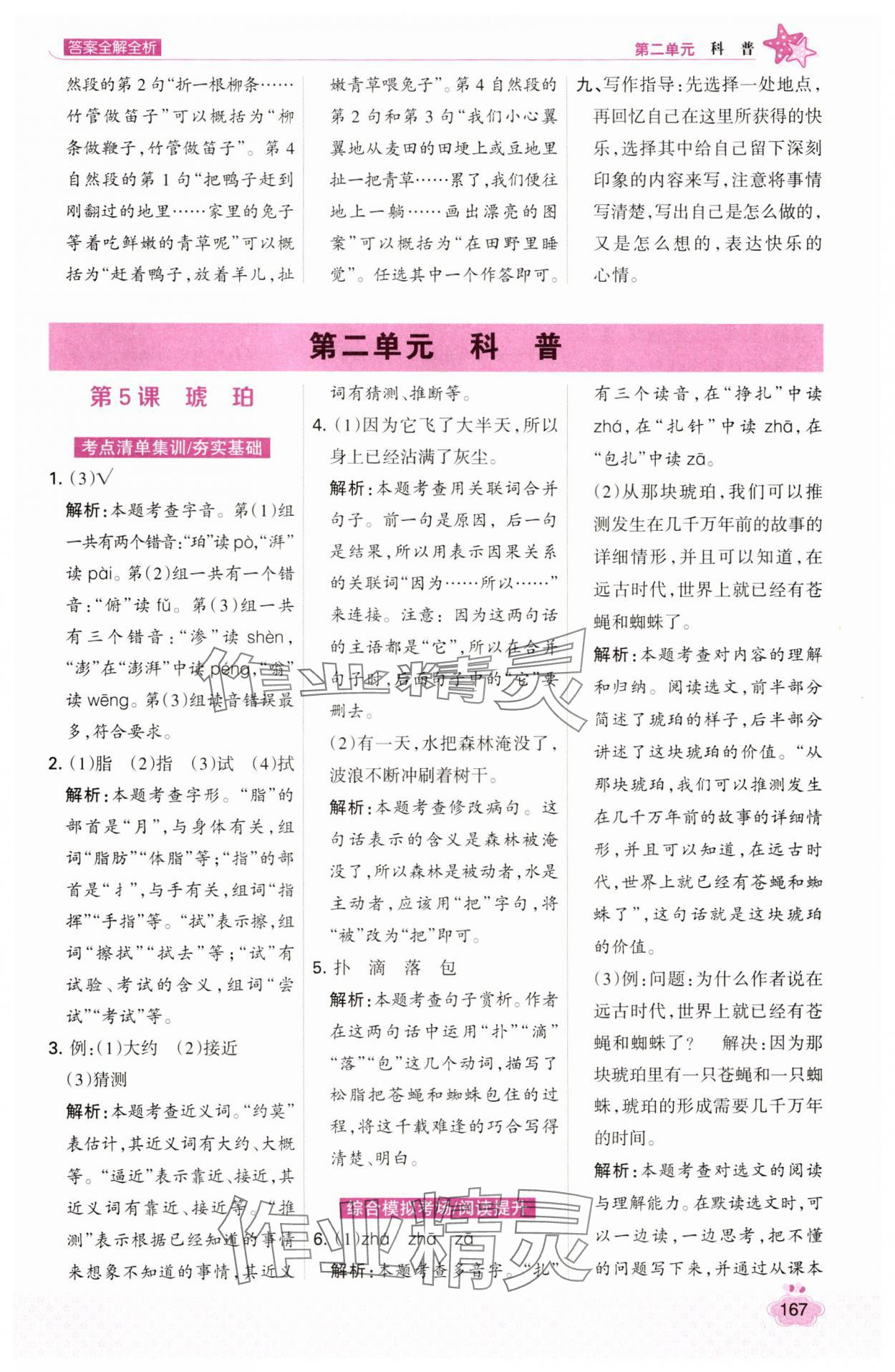 2025年考點(diǎn)集訓(xùn)與滿分備考四年級(jí)語文下冊(cè)人教版 第7頁