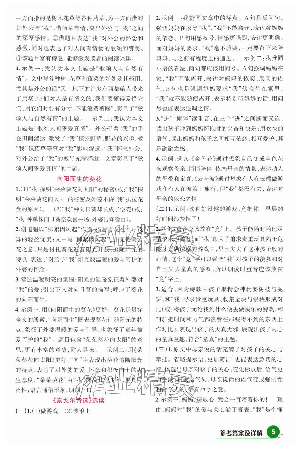 2025年巧学提优七年级语文上册人教版&nbsp;参考答案第5页