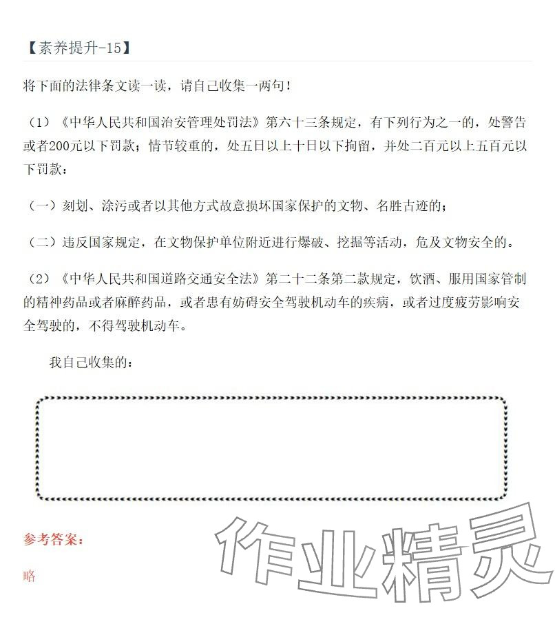 2025年同步实践评价课程基础训练湖南少年儿童出版社六年级道德与法治上册人教版 参考答案第17页