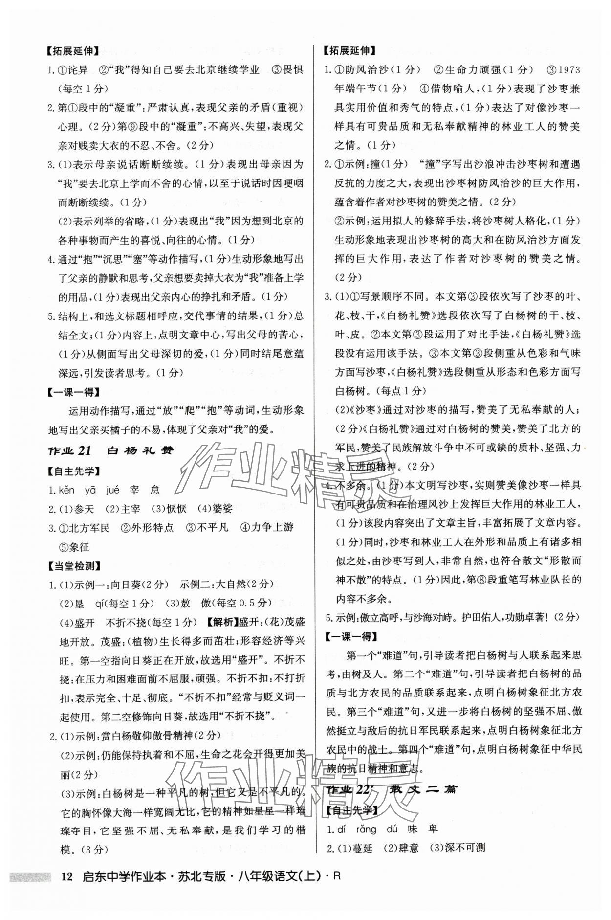 2024年啟東中學(xué)作業(yè)本八年級(jí)語(yǔ)文上冊(cè)人教版蘇北專版 參考答案第12頁(yè)