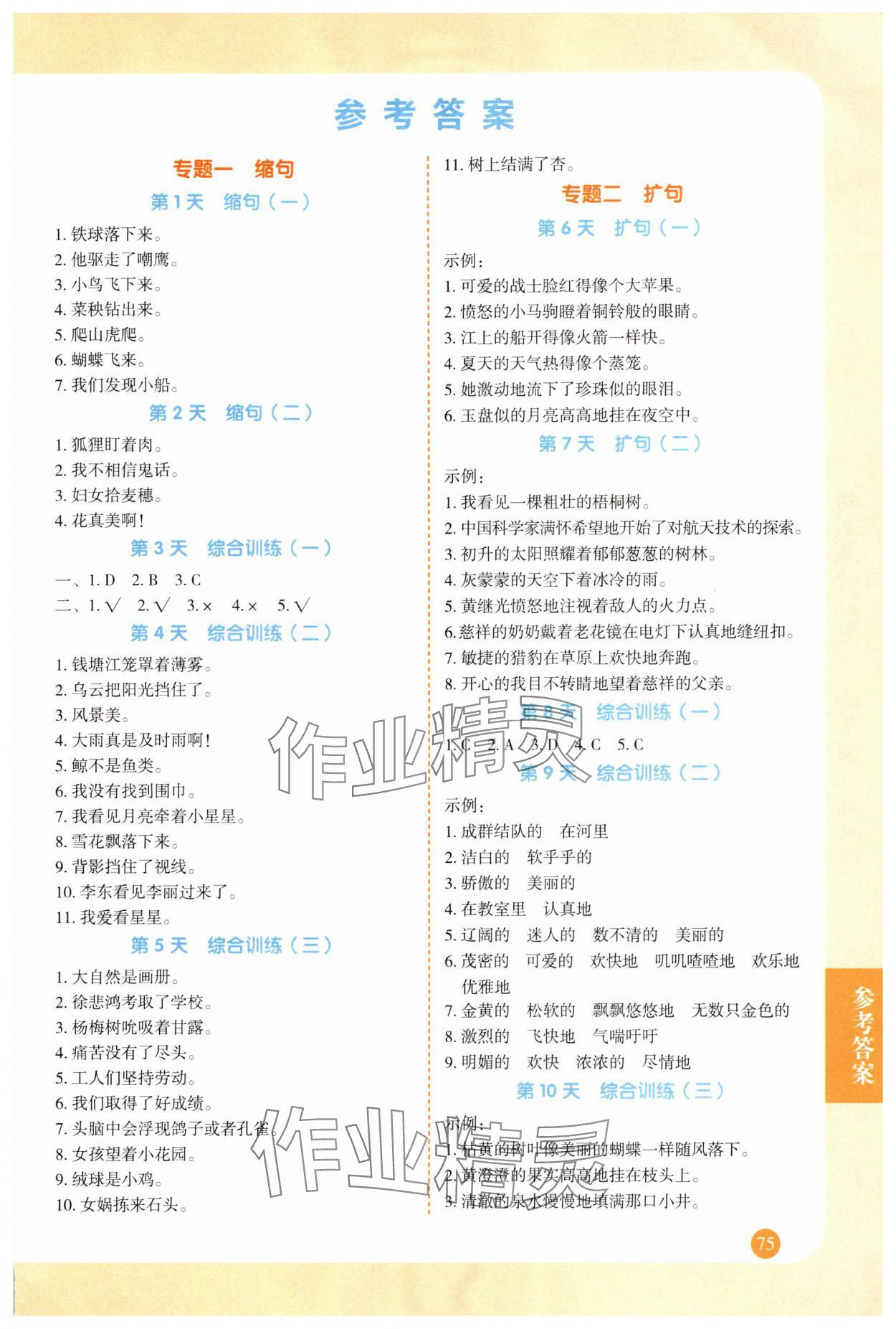 2025年句式强化训练四年级 第1页