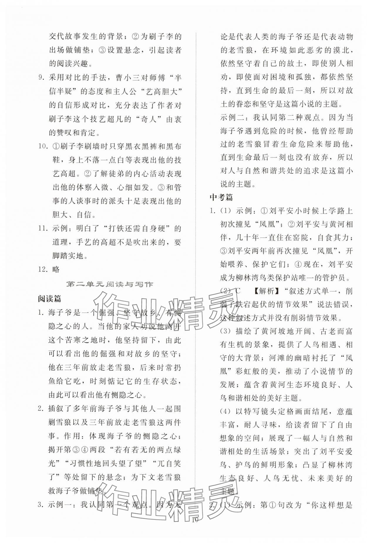 2025年同步輕松練習(xí)九年級語文下冊人教版貴州&nbsp;參考答案第9頁
