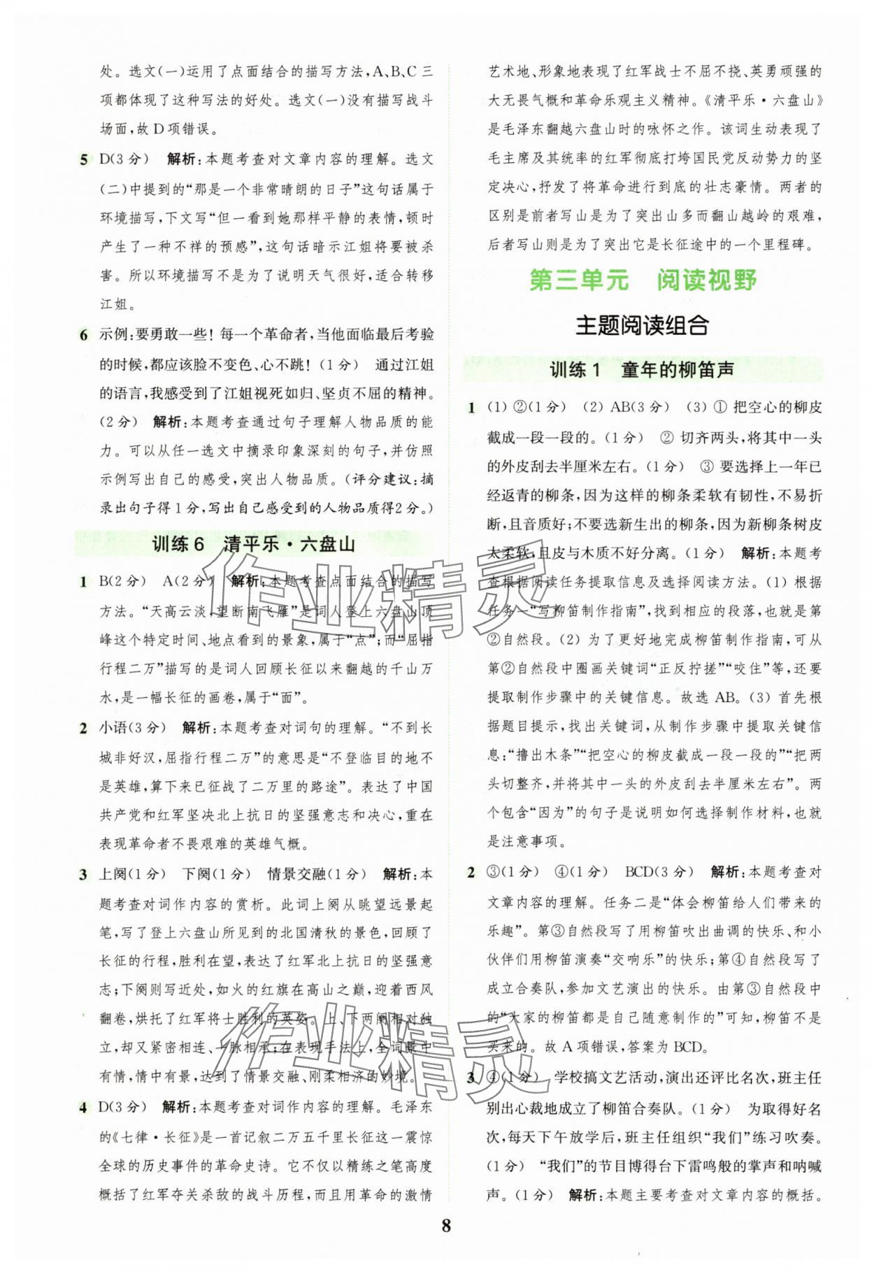 2025年通城學(xué)典組合訓(xùn)練六年級語文上冊人教版江蘇專版 第8頁