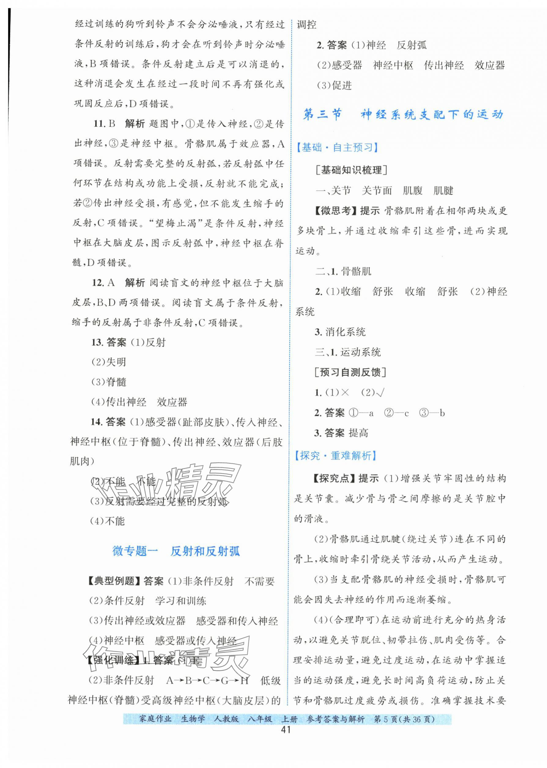2025年家庭作业八年级生物上册人教版 第5页