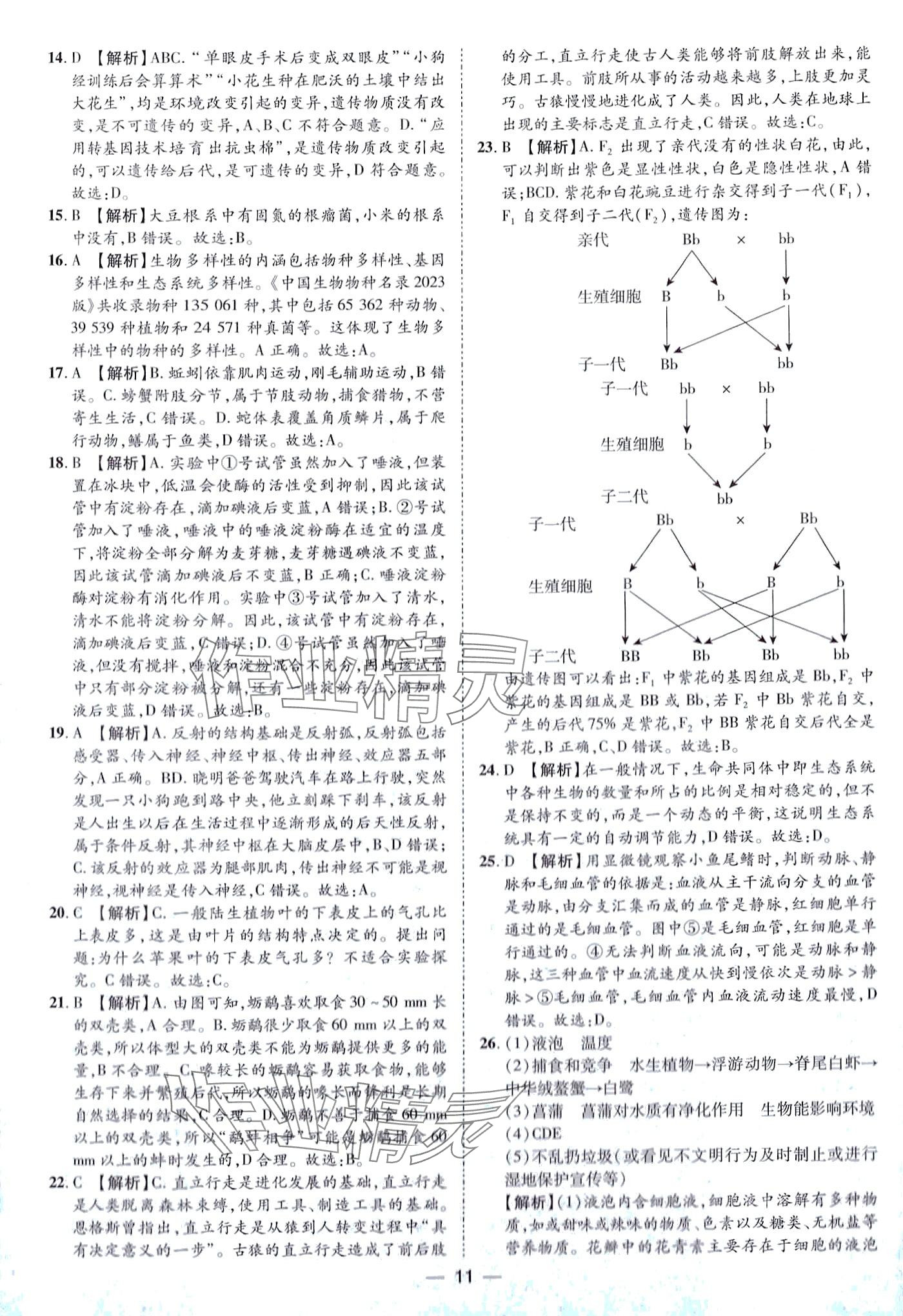 2024年鲁人泰斗中考必备中考试题汇编生物中考&nbsp;第11页