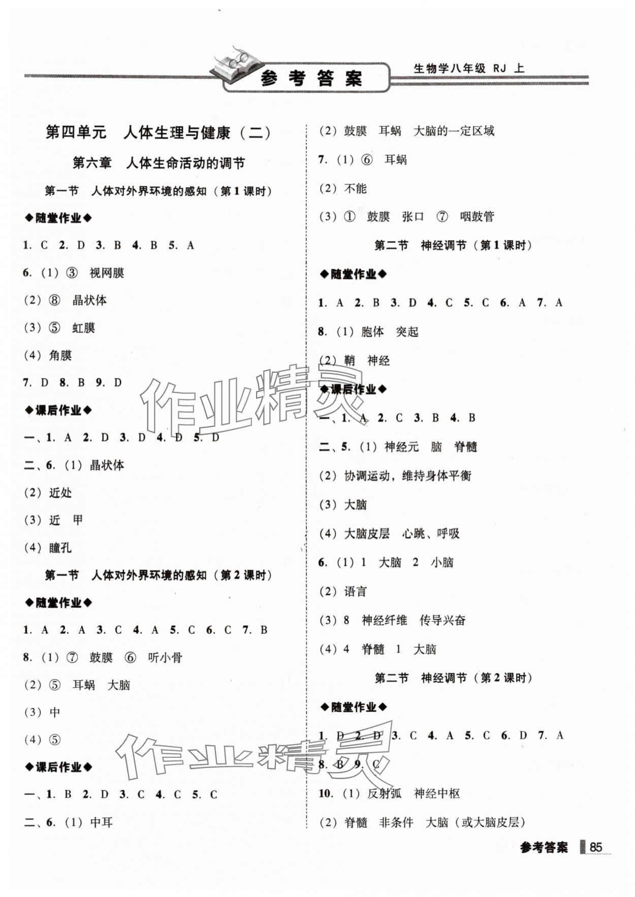 2025年辽宁作业分层培优学案八年级生物上册人教版 第1页