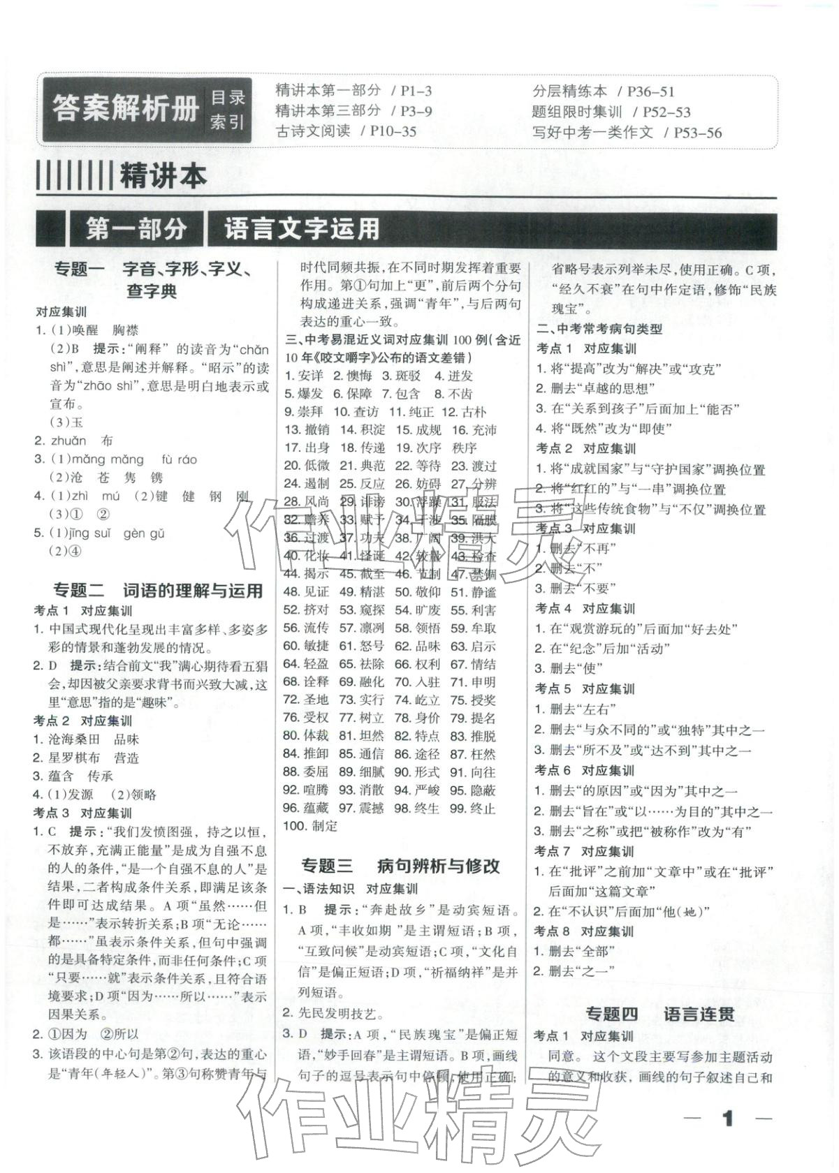 2025年中教万联中考总动员九年级语文河北专版 第1页