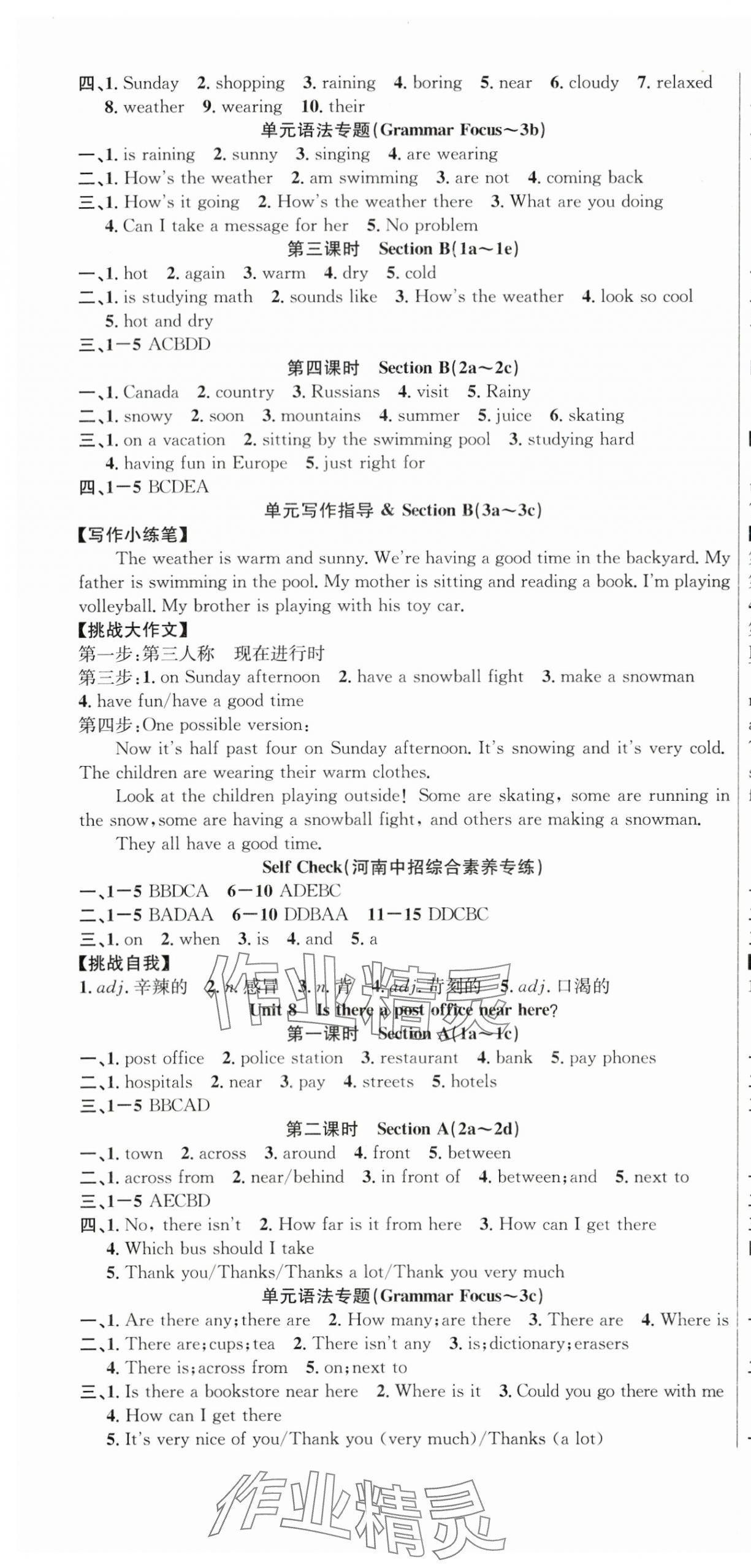 2024年课时夺冠七年级英语下册人教版河南专版 第7页