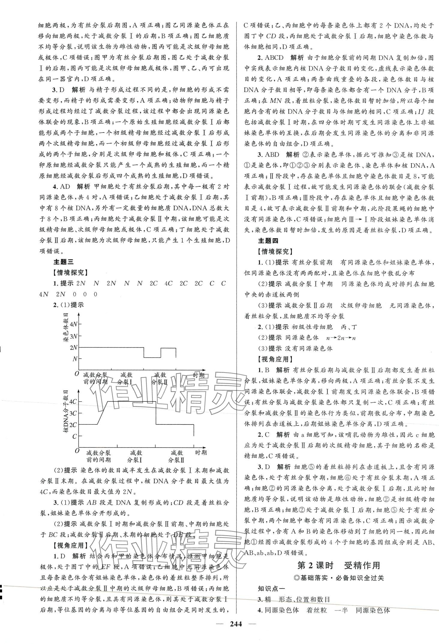 2024年高中同步學(xué)案優(yōu)化設(shè)計(jì)高中生物必修2人教版 第7頁