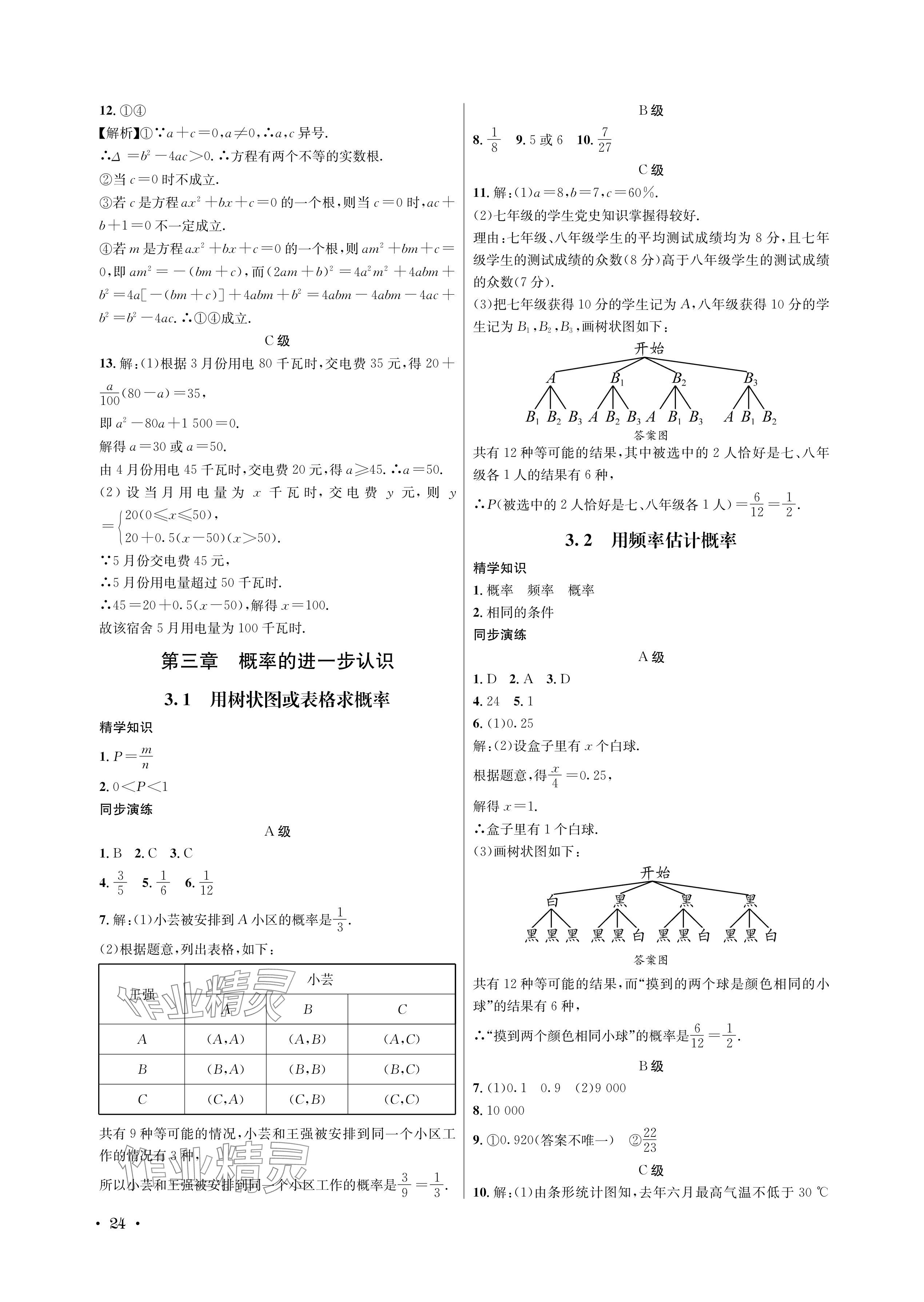 2024年蓉城学霸九年级数学全一册北师大版 参考答案第24页