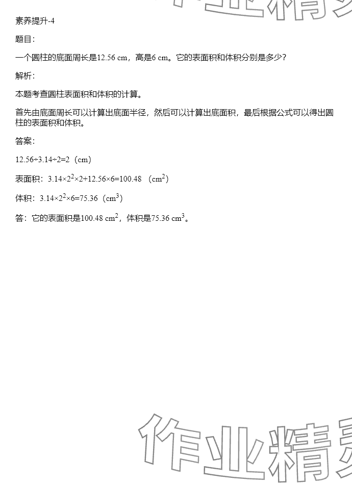 2024年同步实践评价课程基础训练六年级数学下册人教版 参考答案第87页