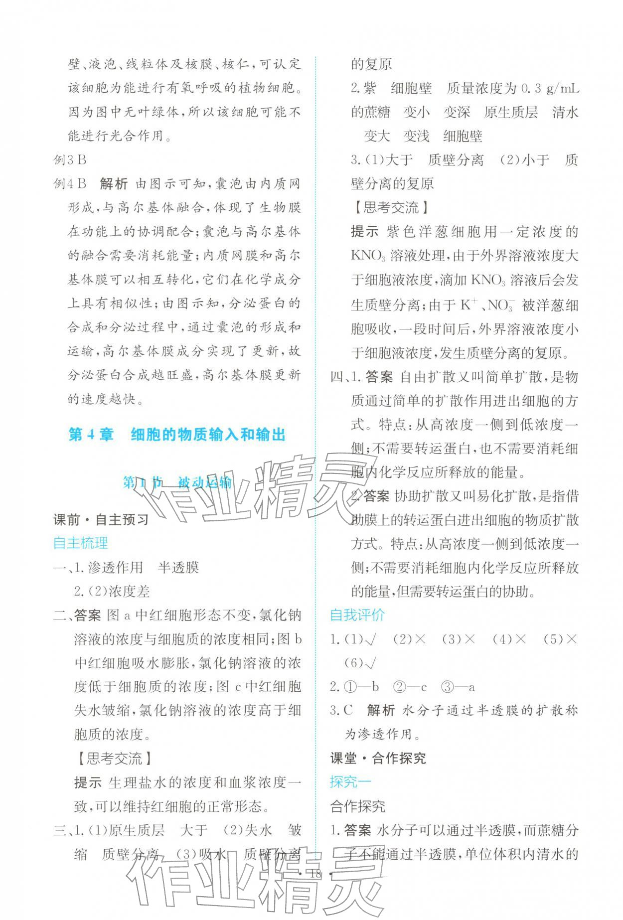 2025年能力培养与测试高中生物必修1人教版 参考答案第17页