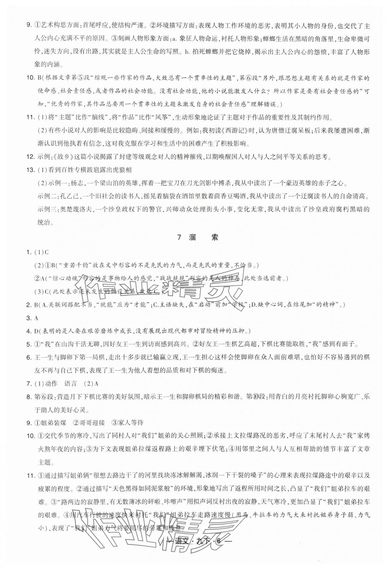 2025年經(jīng)綸學(xué)典課時作業(yè)九年級語文下冊人教版 第6頁