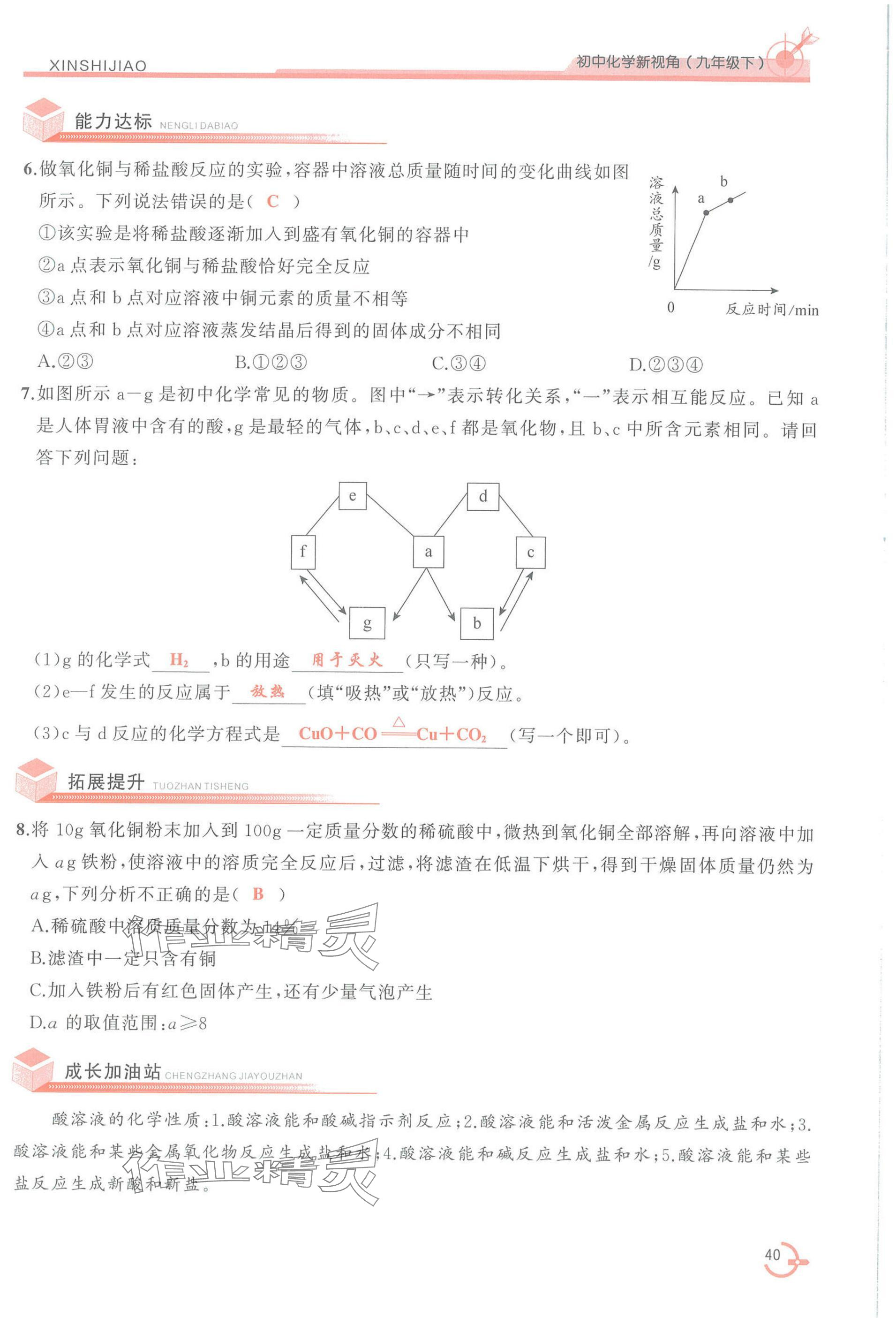 2025年新視角教輔系列叢書化學(xué)九年級下冊人教版 參考答案第40頁