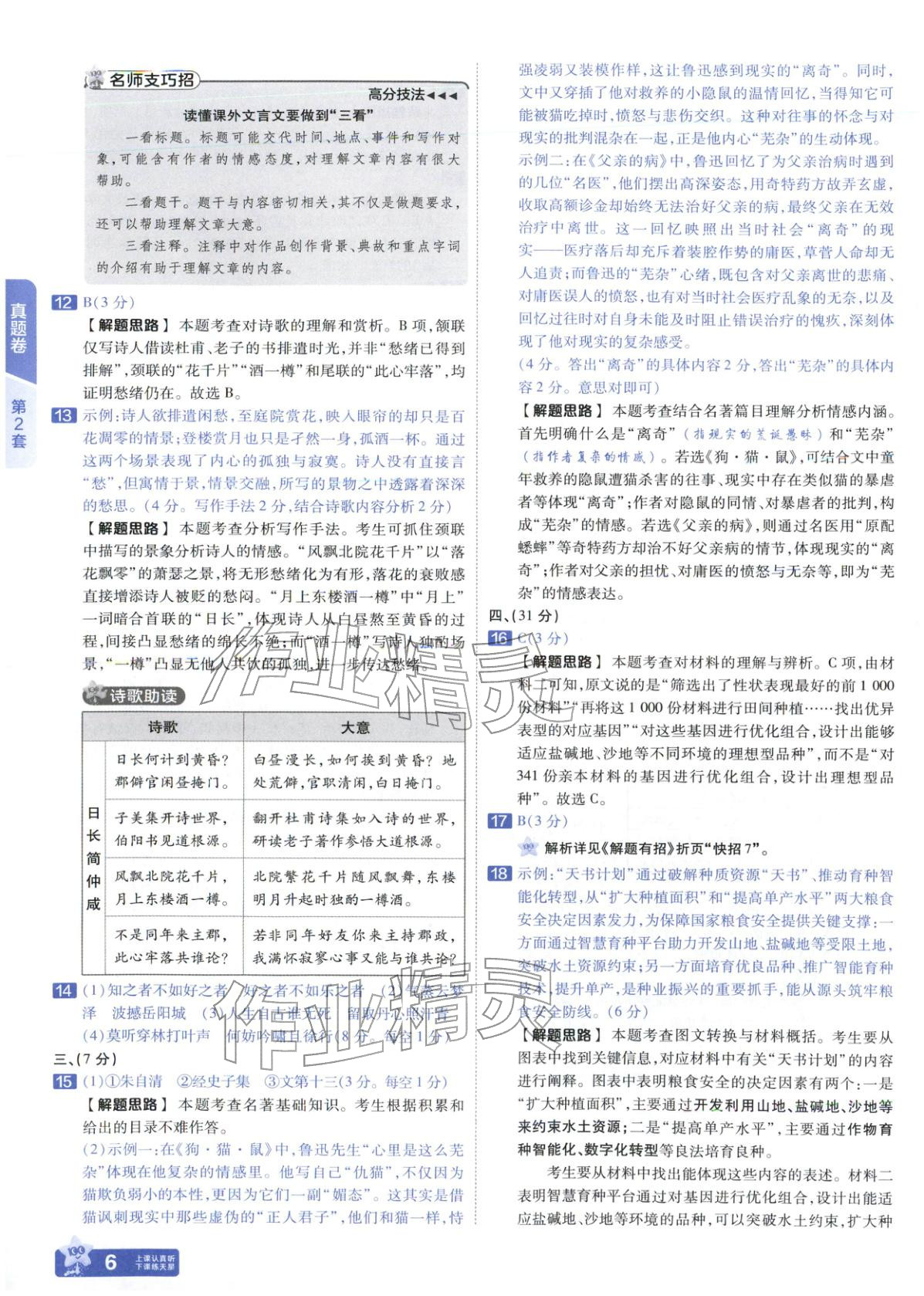 2026年金考卷中考试题汇编45套语文人教版山东专版 第6页