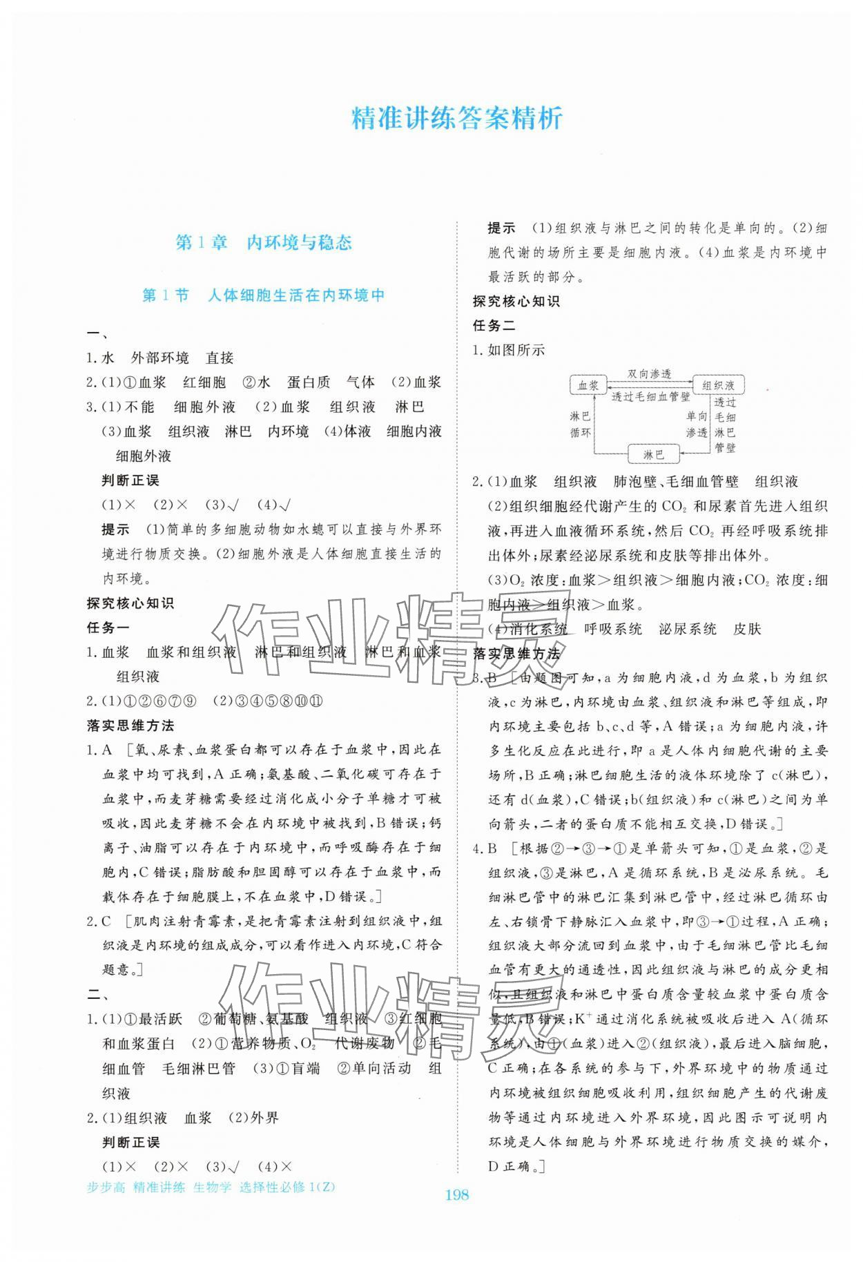 2025年步步高精准讲练高中生物选择性必修1浙科版 第1页