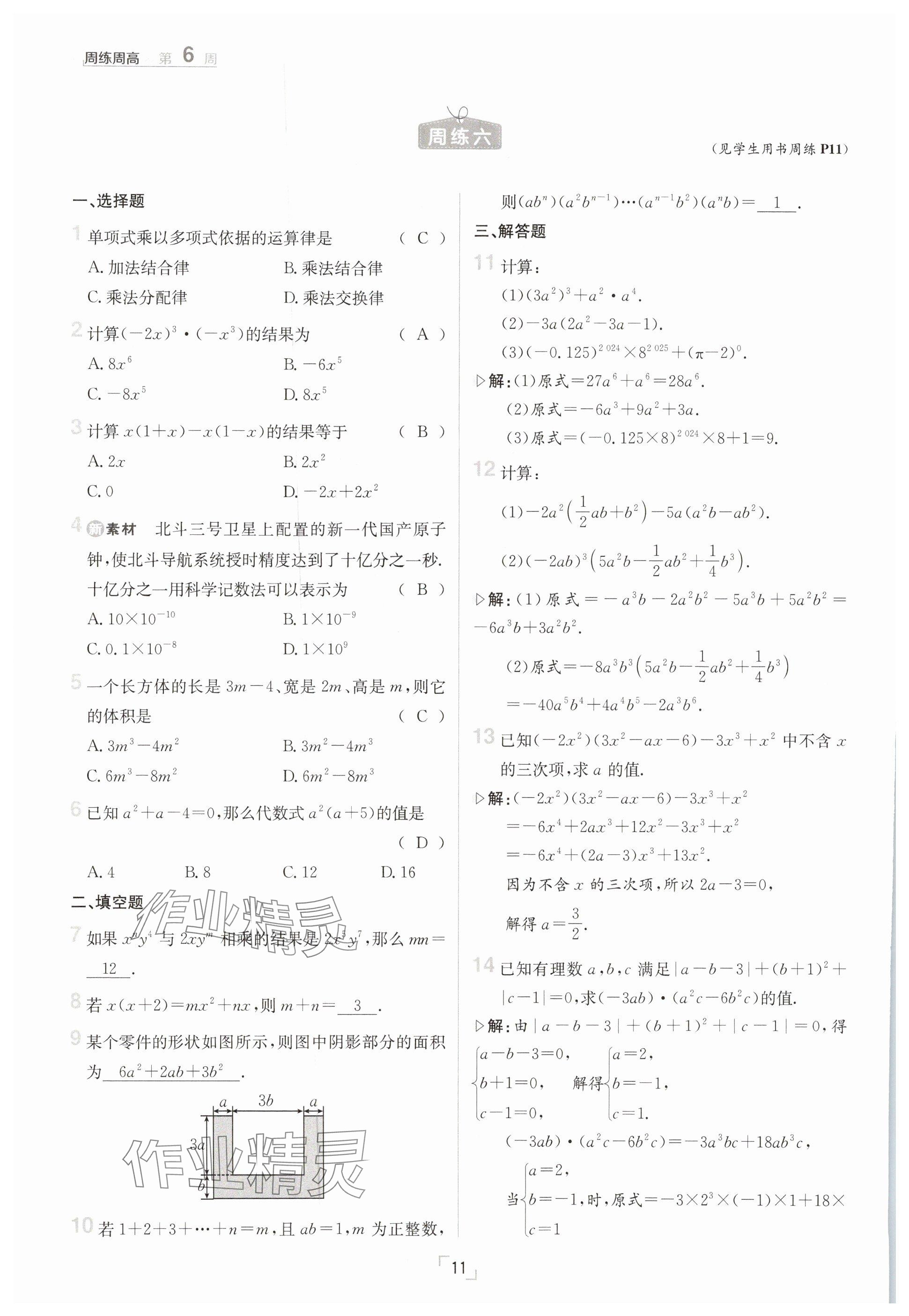 2025年日清周練七年級數(shù)學(xué)下冊滬科版 參考答案第11頁