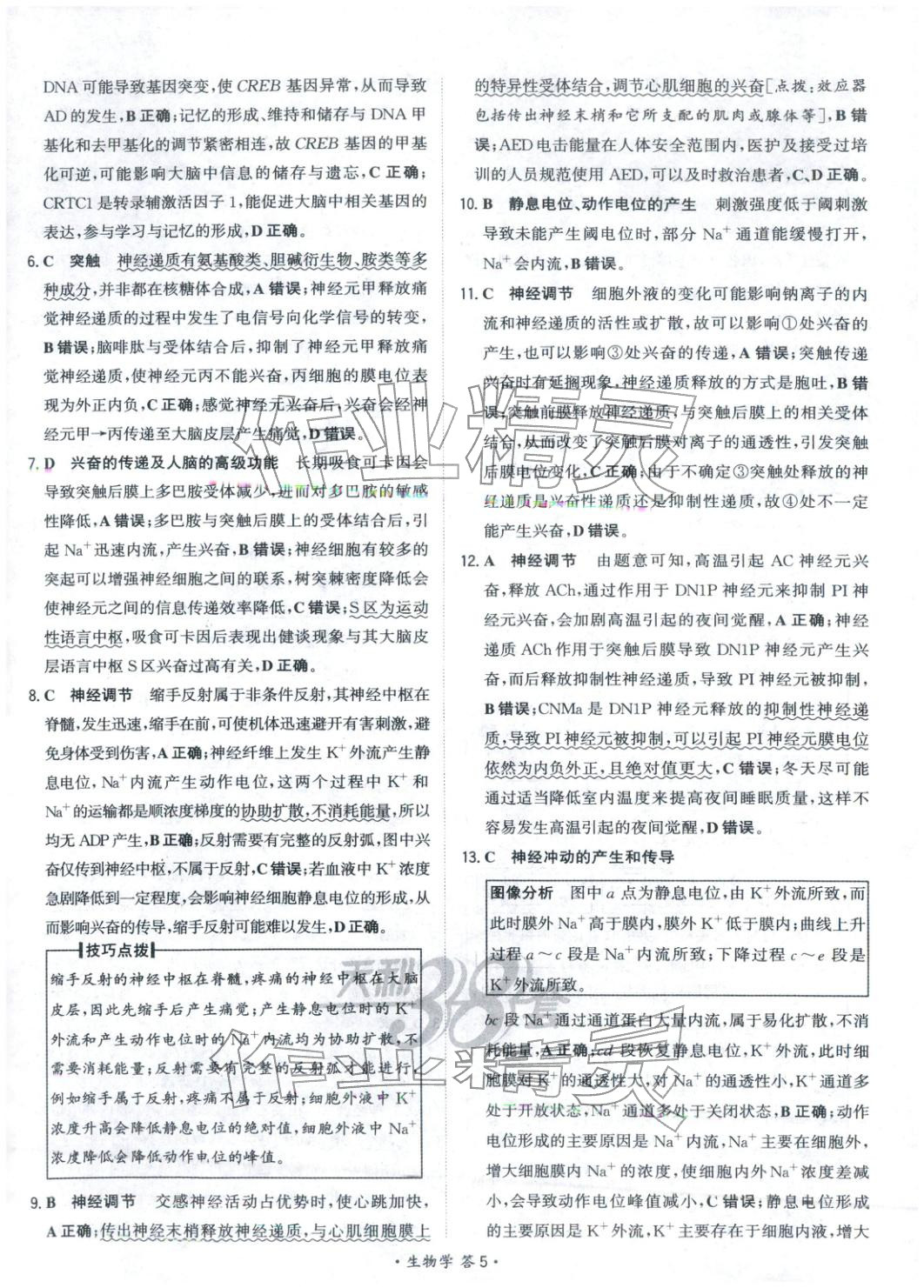 2025年天利38套对接高考单元专题测试卷高中生物选择性必修第一册人教版 第5页