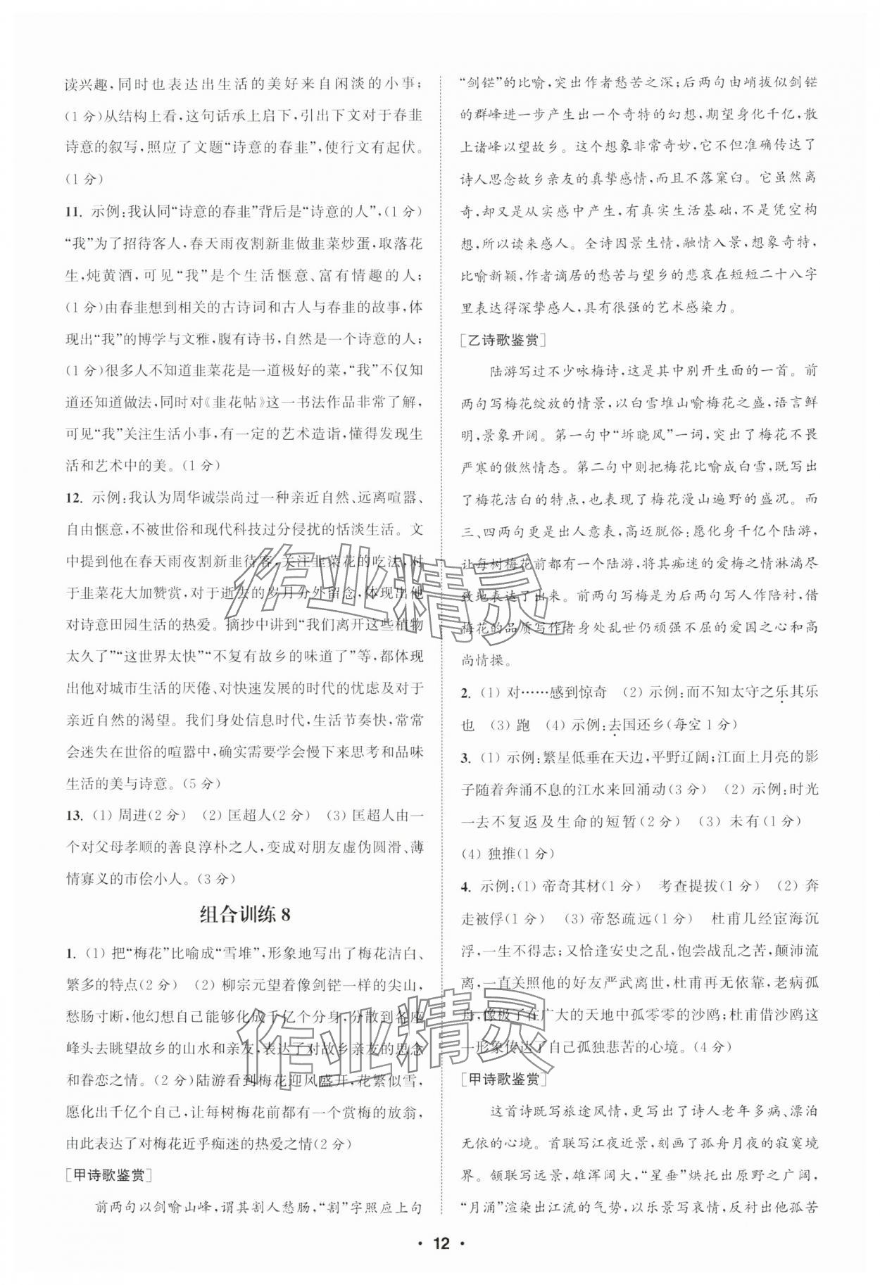 2024年通城學(xué)典初中語文閱讀訓(xùn)練組合訓(xùn)練九年級南通專版 第12頁